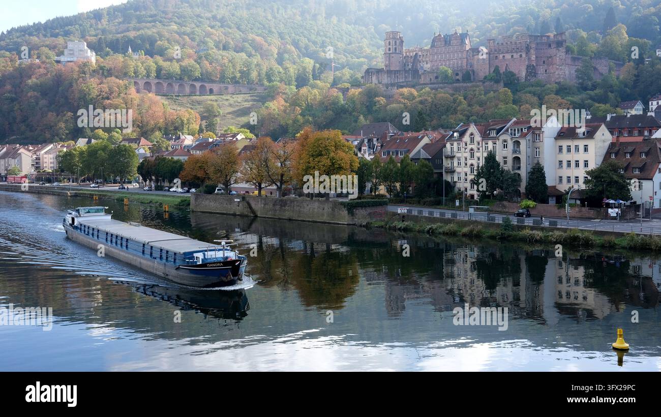 Péniche sur le Neckar à Heidelberg, Allemagne Banque D'Images