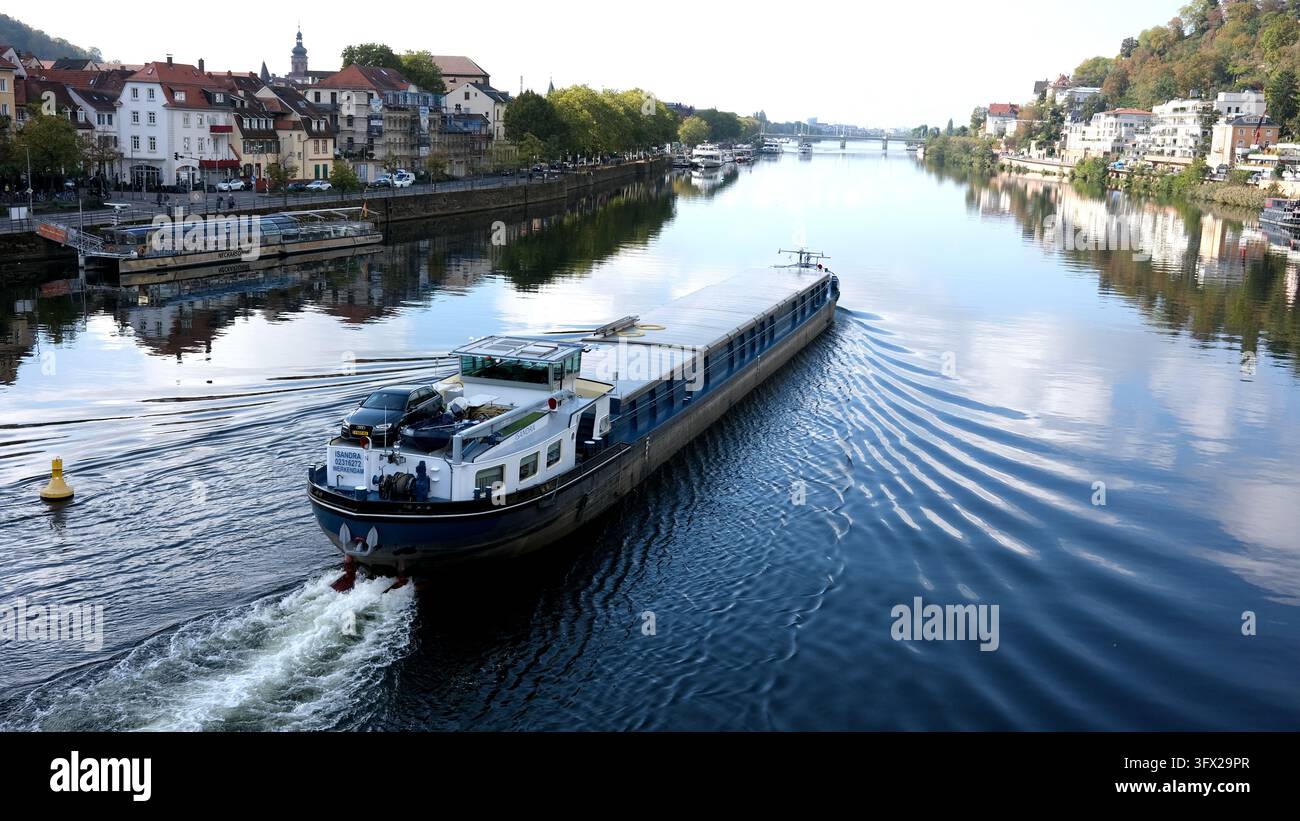 Péniche sur le Neckar à Heidelberg, Allemagne Banque D'Images