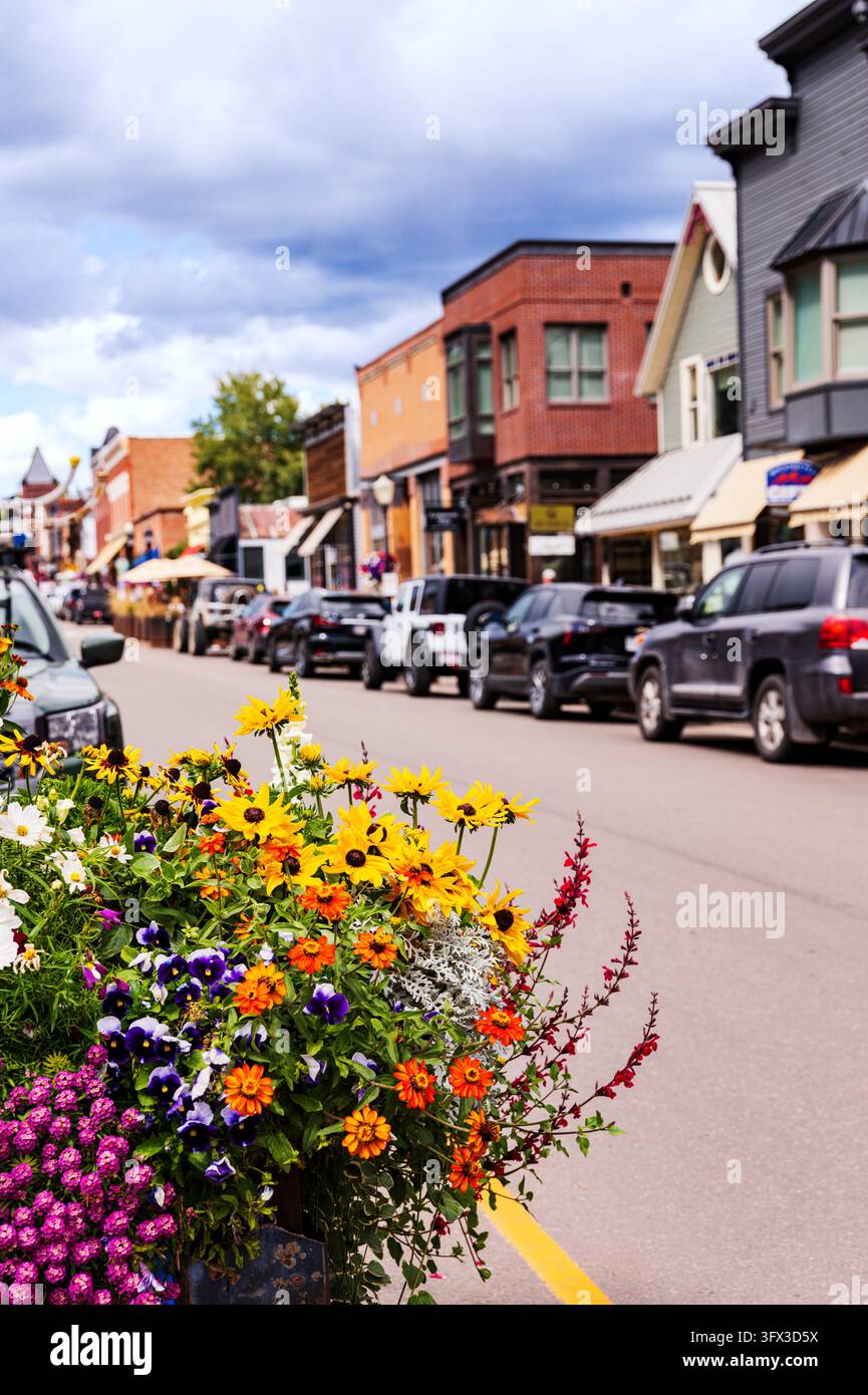 Colorado Ave. ; petite ville de montagne de Telluride ; Colorado ; États-Unis Banque D'Images