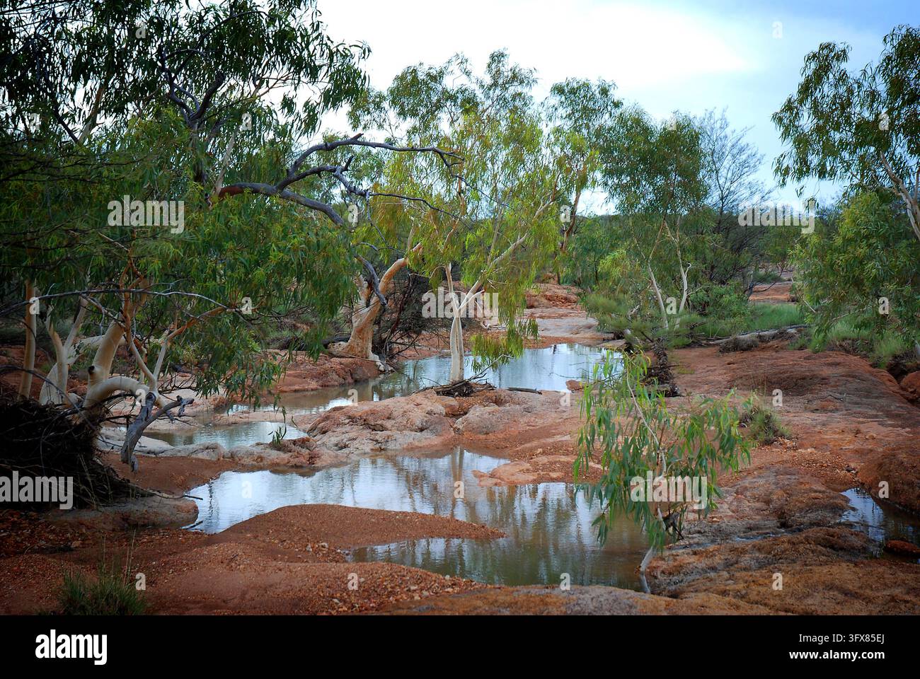 Surprise Creek après de fortes pluies, Parc national de Bladensburg, Winton, Queensland occidental Banque D'Images