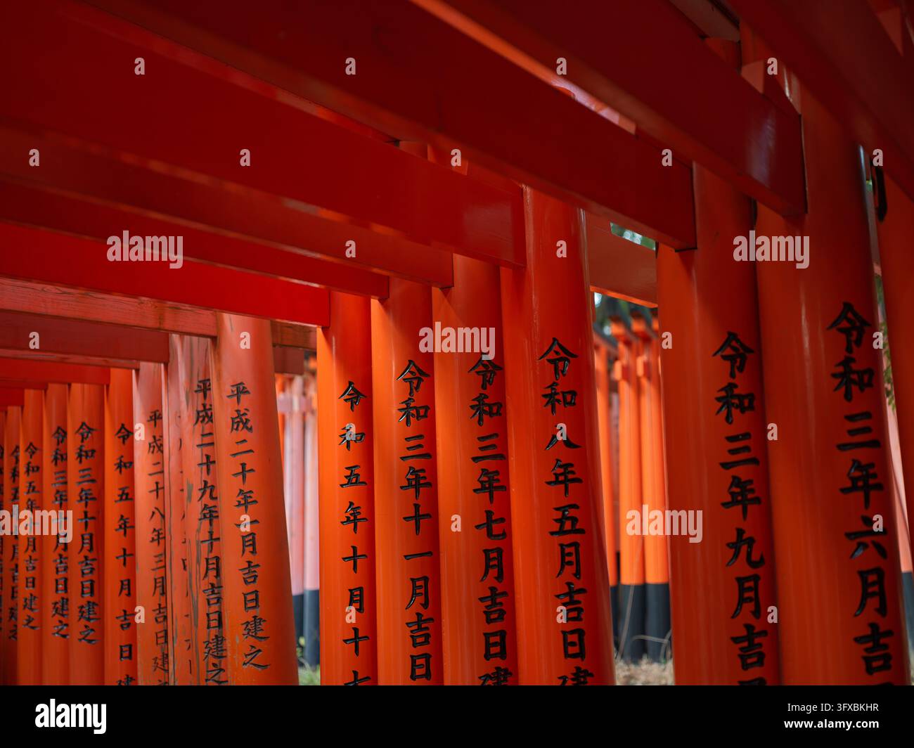 Vue rapprochée d'un tunnel de piliers de portails torii vermillons gravés de dates de dédicace en kanjis noirs au sanctuaire Fushimi Inari Taisha à Kyoto, Japon. Banque D'Images