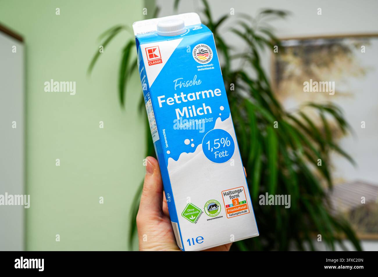 Iserlohn, Allemagne – 10 octobre 2026 : Main tenant une cartonne de lait frais écrémé Kaufland K-Classic dans un cadre intérieur. Banque D'Images