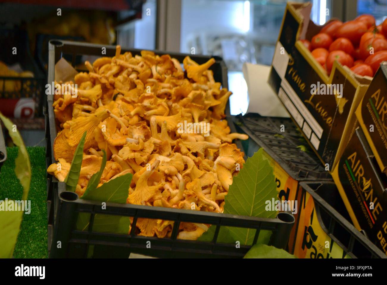Caisse de chanterelles à un étal de marché italien pour fond alimentaire et conception de bannière culinaire. Banque D'Images