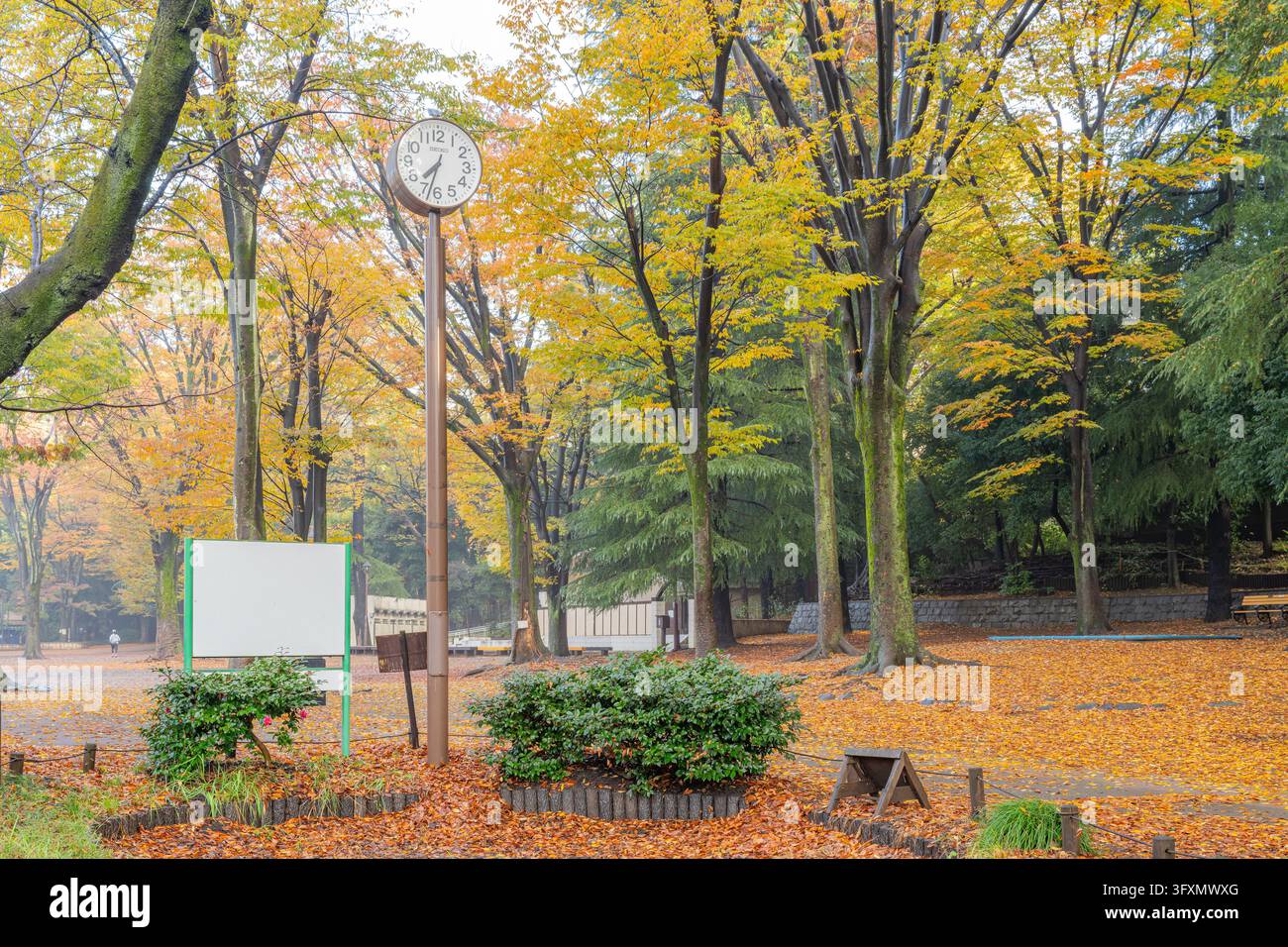 Une grande horloge extérieure se dresse dans un cadre de parc, entourée d'arbres aux feuilles jaunes et orange et d'un sol couvert de feuillage tombé. Banque D'Images