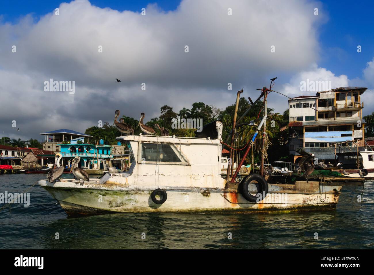 Une vue latérale d'un bateau de pêche blanc rustique flottant sur des eaux côtières calmes, portant un groupe de pélicans bruns sur le toit de sa cabine sous un ciel nuageux. Banque D'Images