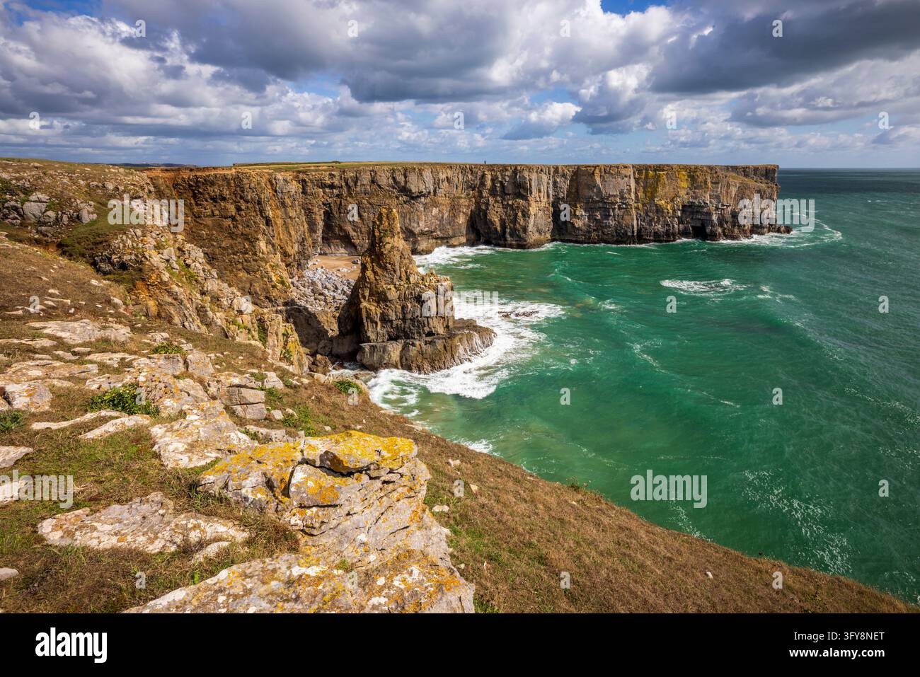Un pilier de mer sur la côte de Stackpole, Pembrokeshire, Pays de Galles du Sud Banque D'Images