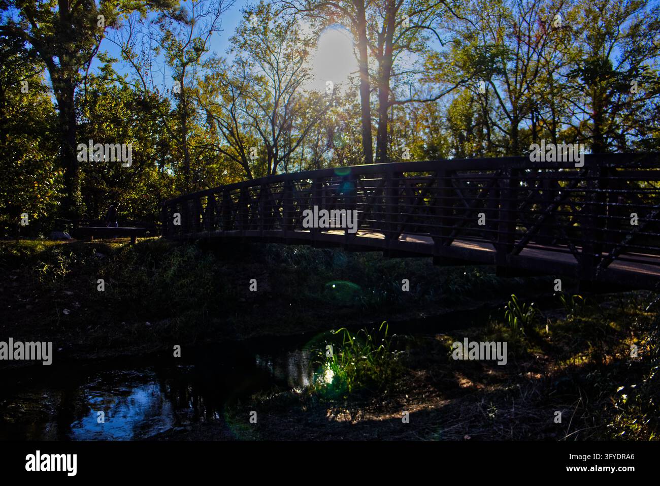 Un pont piéton en bois traverse un petit ruisseau dans un parc ensoleillé, entouré d'arbres avec un éclat de soleil vif et une flare d'objectif. Banque D'Images