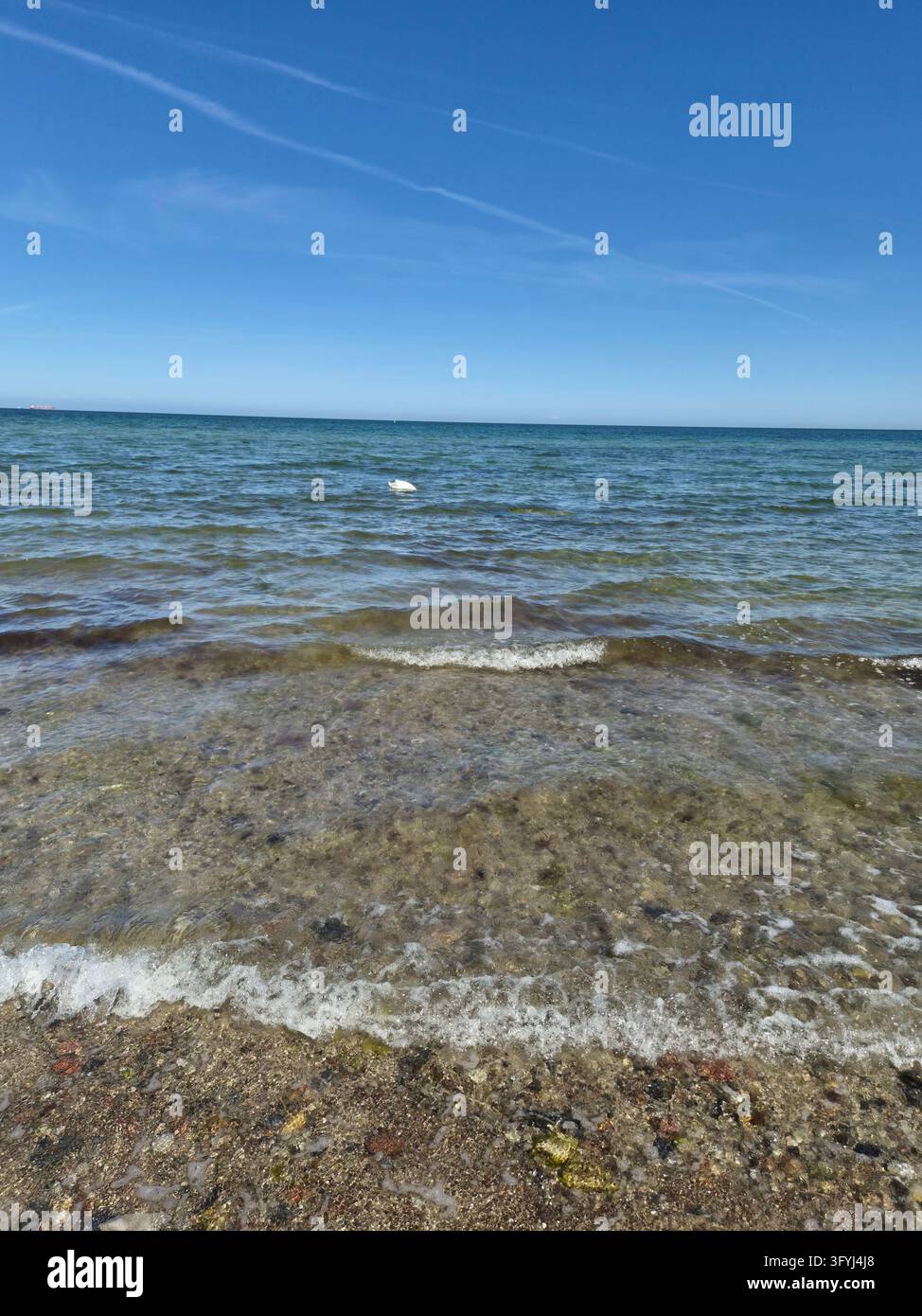 Petites vagues roulant sur une rive de galets de la mer Baltique avec une eau claire sous un ciel bleu, près de Rostock, Mecklembourg-Poméranie-Occidentale, Allemagne, avril 2026 - Image de stock capturée avec un smartphone