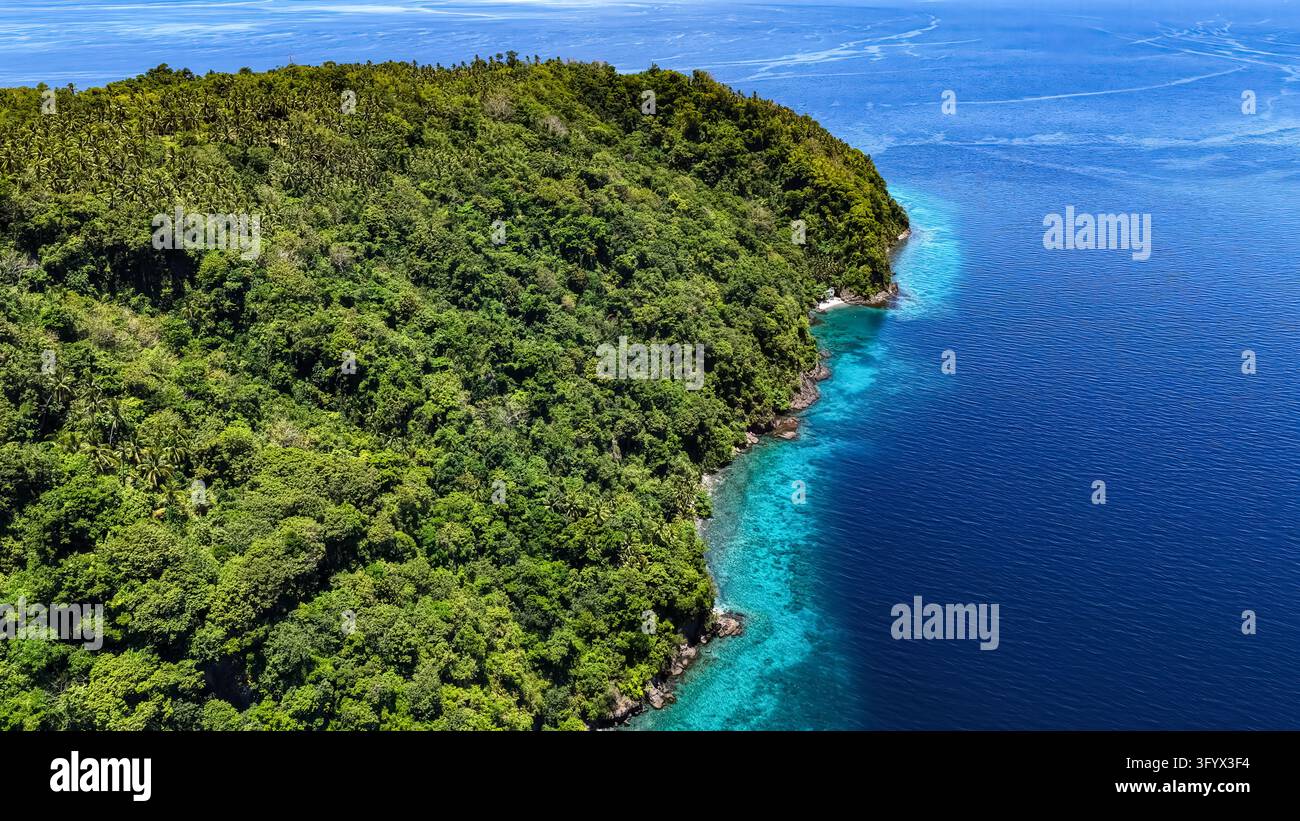 Vue aérienne d'une côte insulaire tropicale luxuriante avec une forêt verte dense rencontrant les bas-fonds turquoise et la mer bleu profond, Southern Leyte, Philippines. Banque D'Images