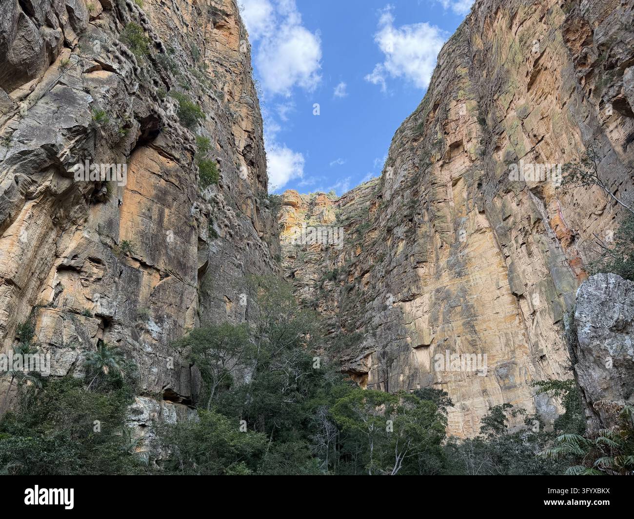 Des falaises de grès orange transparent encadrent un canyon luxuriant sous un ciel bleu éclatant dans le parc national d'Isalo, à Madagascar. - Image de stock capturée avec un smartphone
