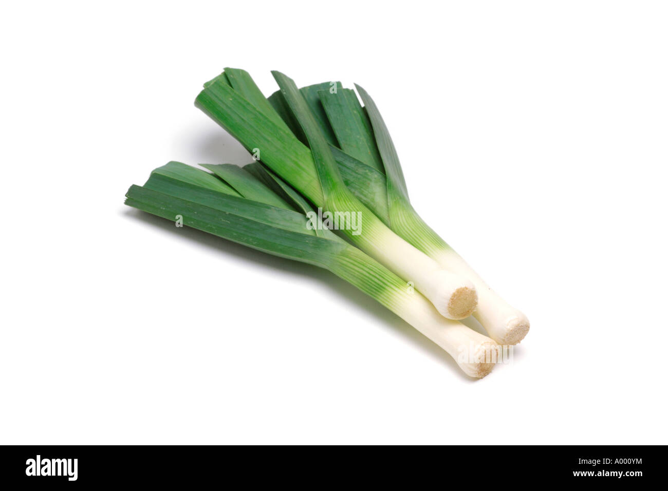 Les Poireaux De Bebe Sur Fond Blanc Photo Stock Alamy