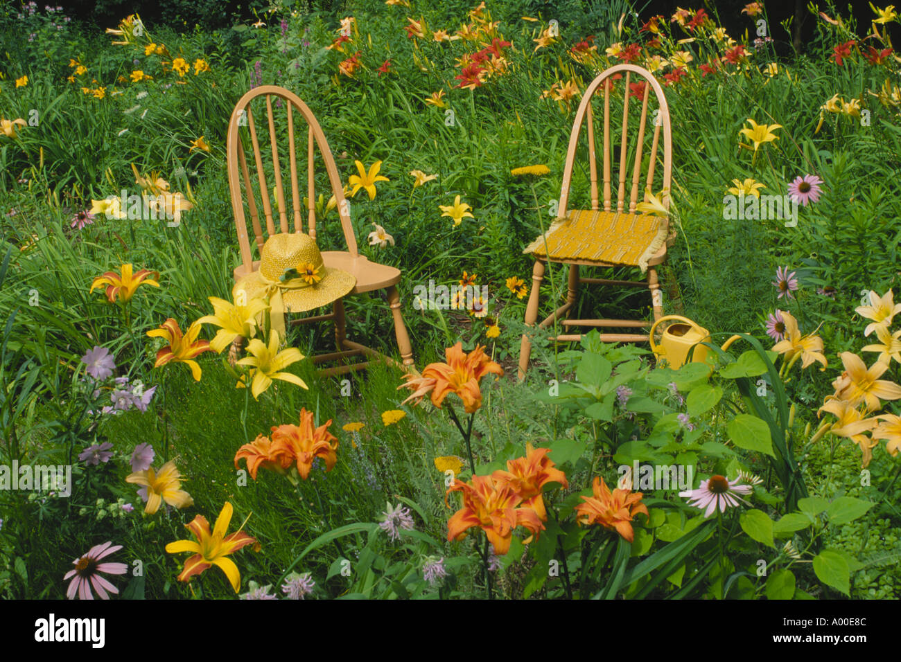 Chaises en bois assis dans un champ de fleurs jaunes et orange avec des nénuphars et un chapeau de paille, Midwest USA Banque D'Images