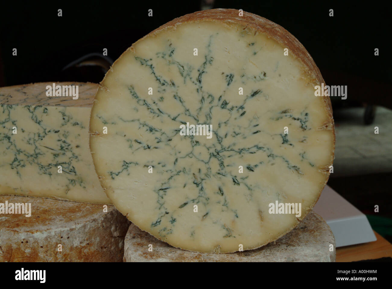 Le fromage stilton blue round Banque D'Images