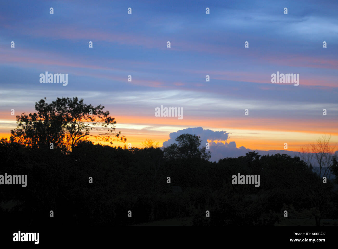 Un magnifique coucher de Kentish Anglais spooky colorés avec des arbres et la campagne en fond de terrain Speldhurst Banque D'Images