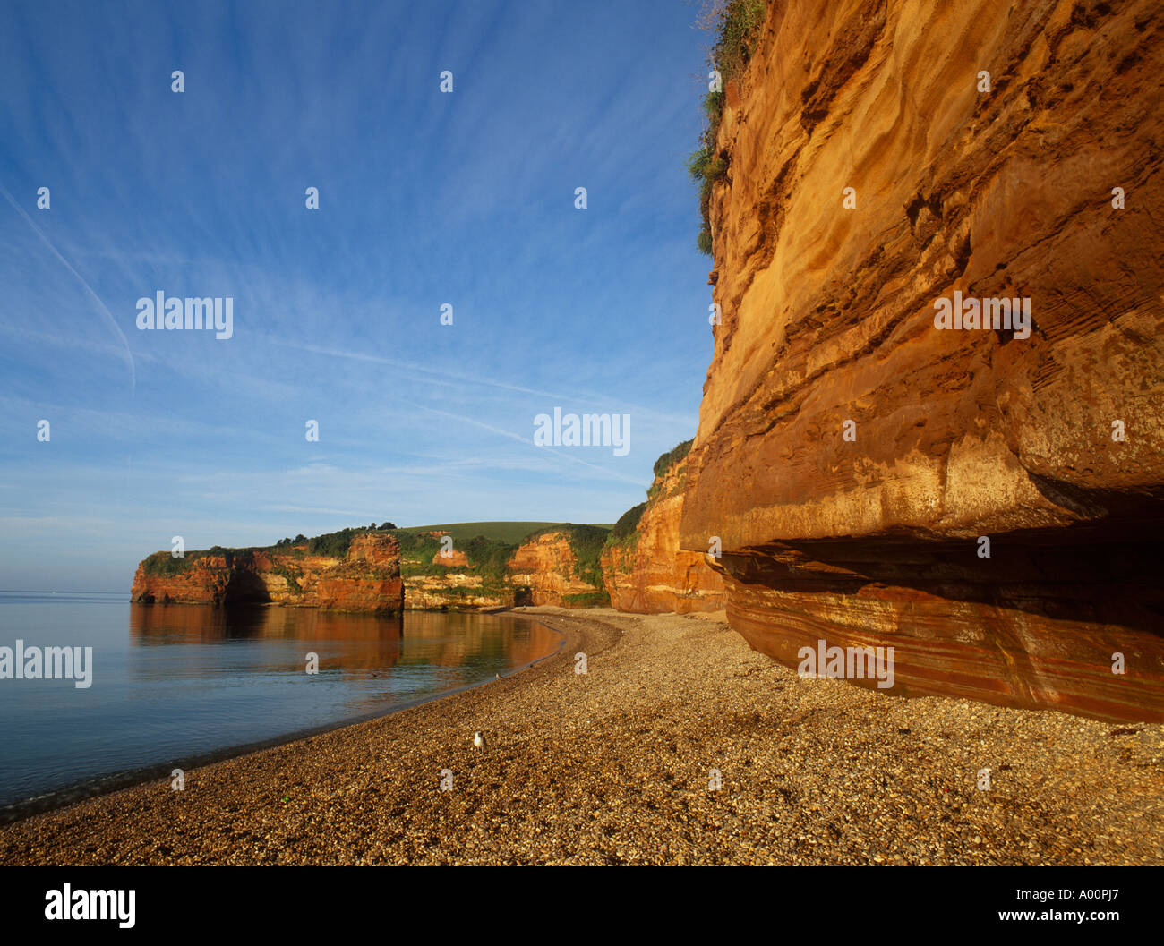 Côte Jurassique, Ladram Bay, Devon, UK Banque D'Images