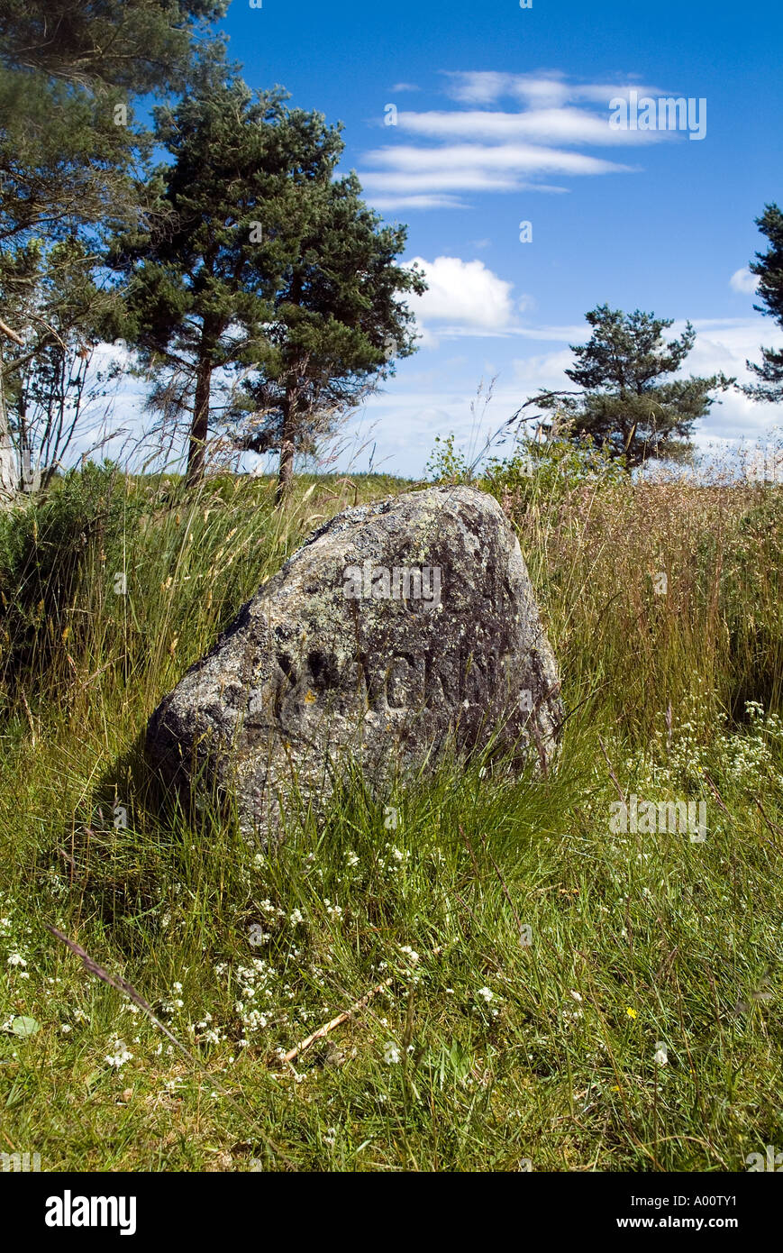 dh Culloden Battlefield CULLODEN MOOR INVERNESSSHIRE le clan Mackinnon gravestone sur le terrain de bataille 1746 scotland jacobite rébellion grave headstone Banque D'Images