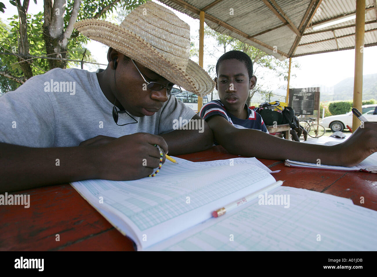 Score keepers pour un amateur de cricket, Jamaïque Banque D'Images