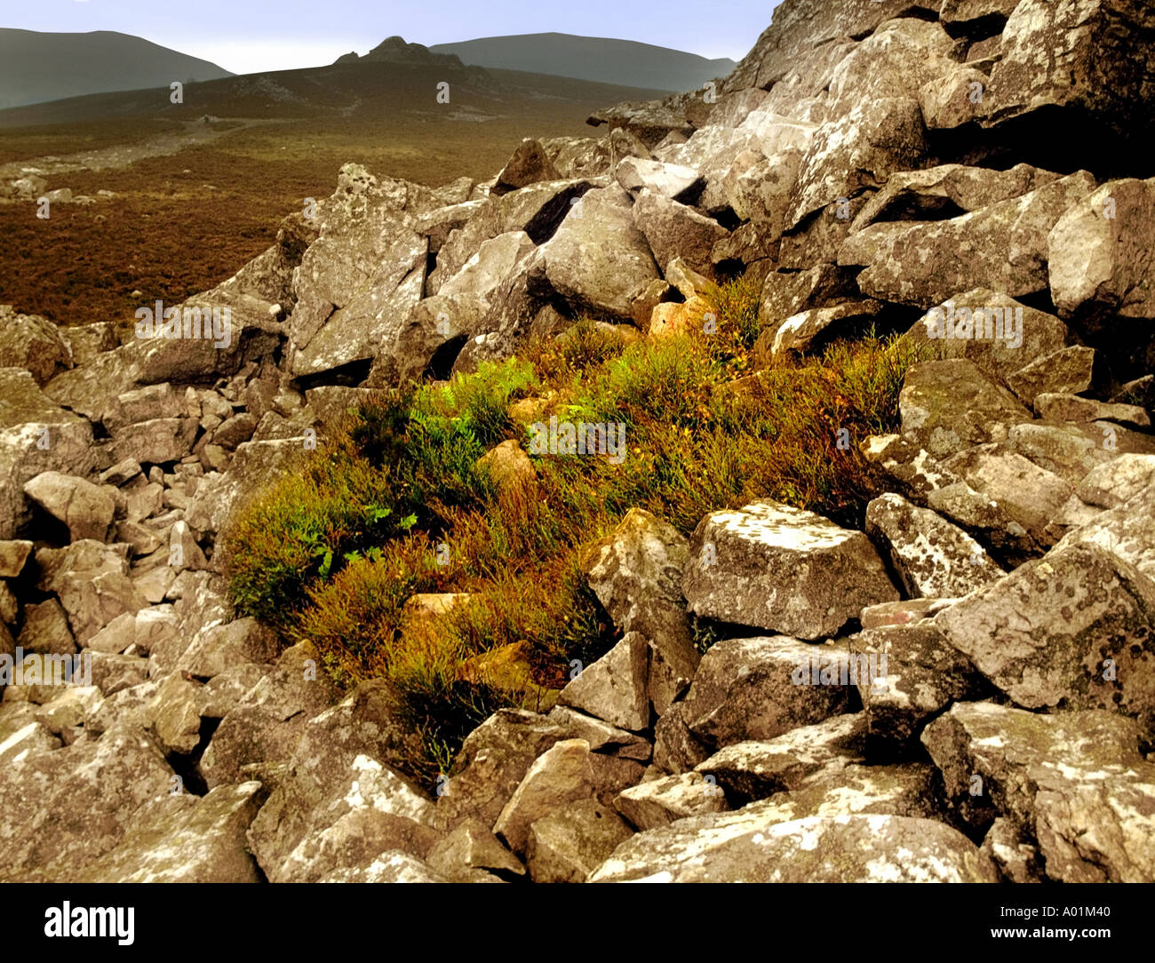 Les stiperstones Shropshire en Angleterre Banque D'Images