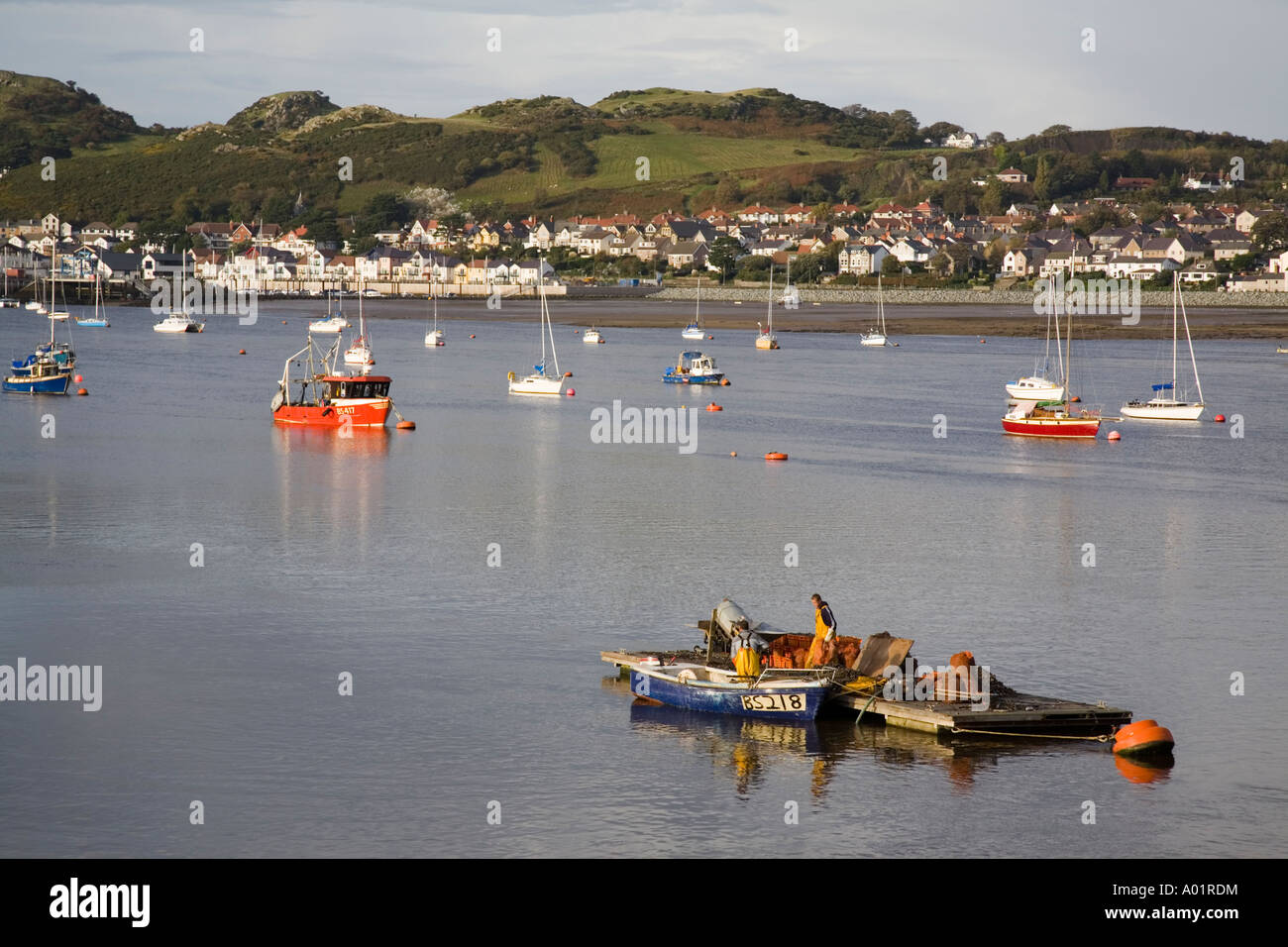Les pêcheurs de moules sur le déchargement d'une plate-forme de capture avec bateaux amarrés sur l'estuaire de la rivière à marée basse. Le Nord du Pays de Galles Conwy Deganwy UK Banque D'Images