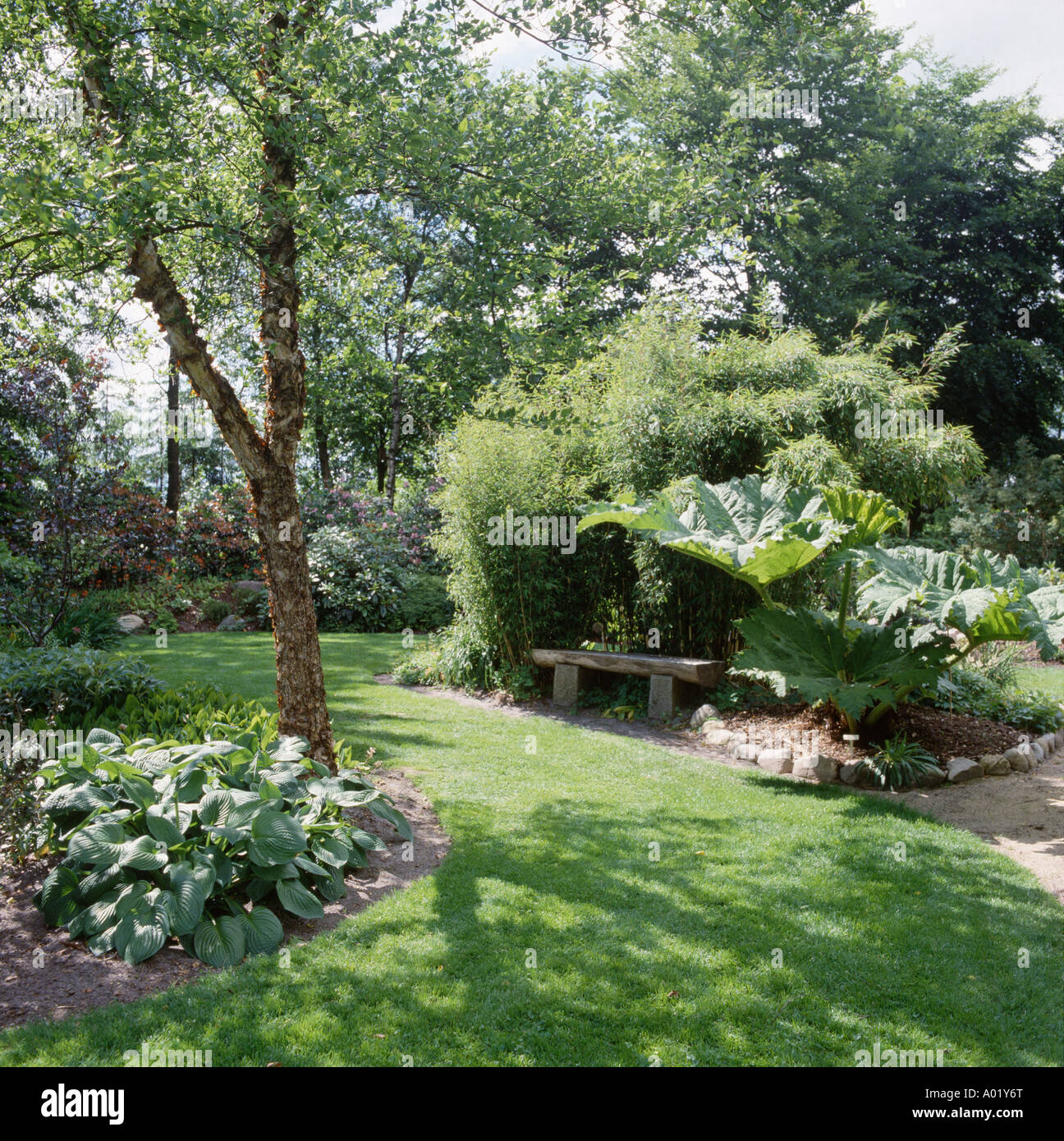 Petit arbre sur la pelouse avec les postes sous Gunnera manicata dans Country Garden Banque D'Images
