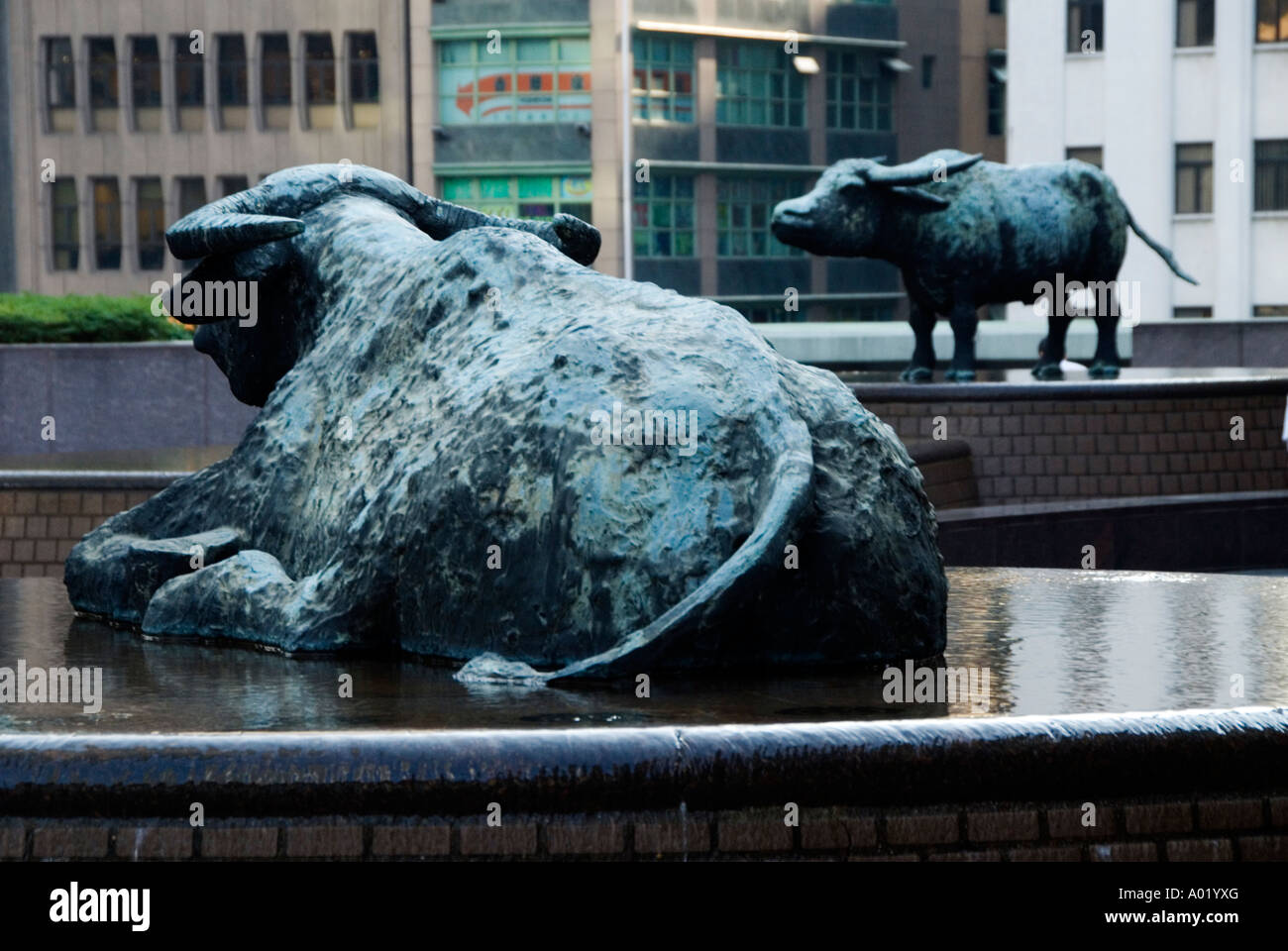 Bronze sculptures de taureaux à Hong Kong Stock Exchange, Central, Hong Kong Banque D'Images
