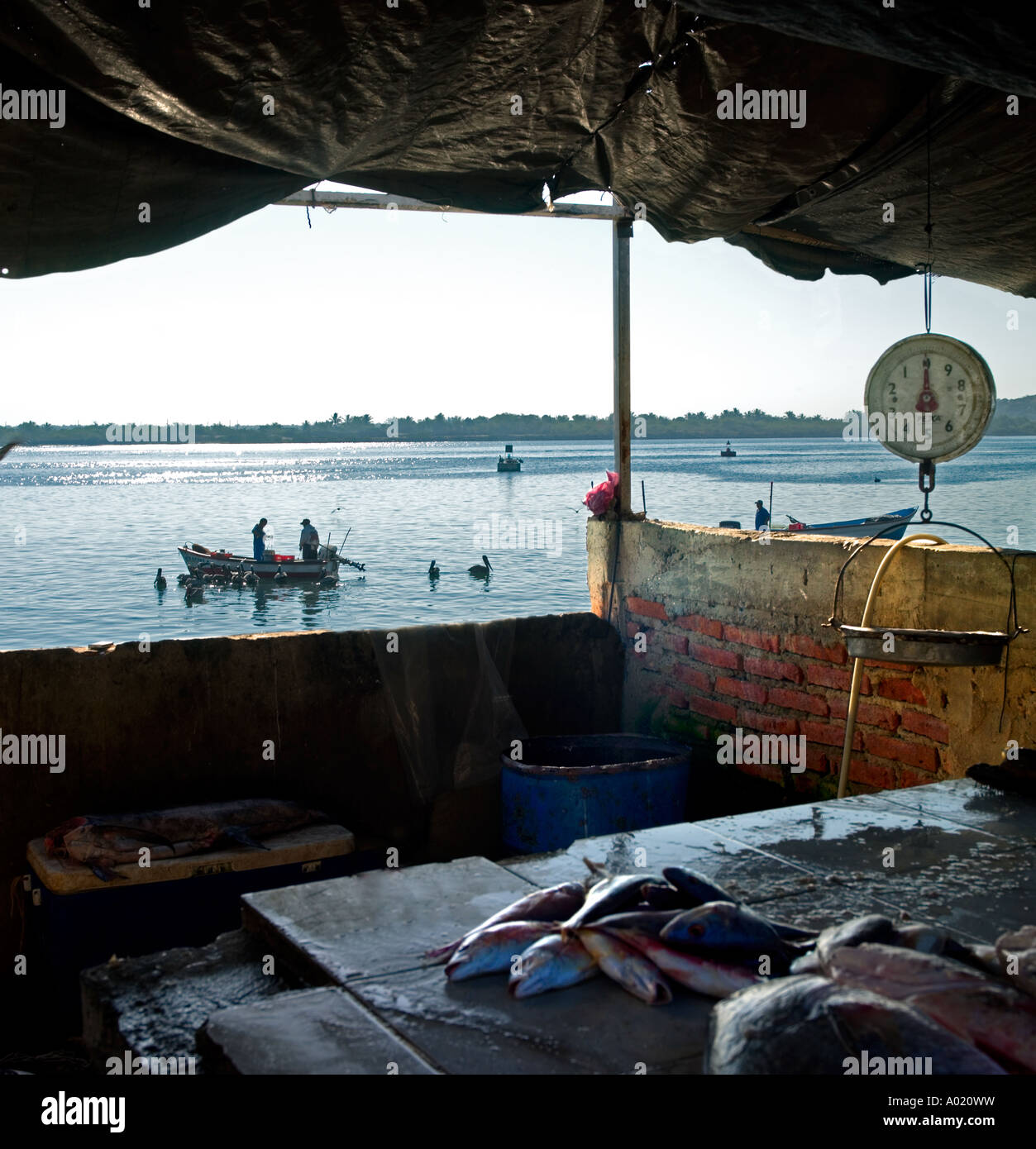 Marché de poissons Mazatlan Mexique. Le modèle ne libération nécessaire, la distance et l'ombre rend les gens méconnaissable Banque D'Images