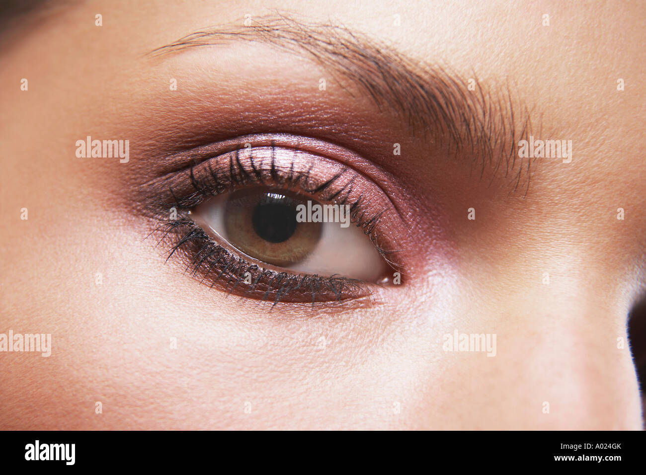 Eye avec l'ombre d'oeil Banque D'Images