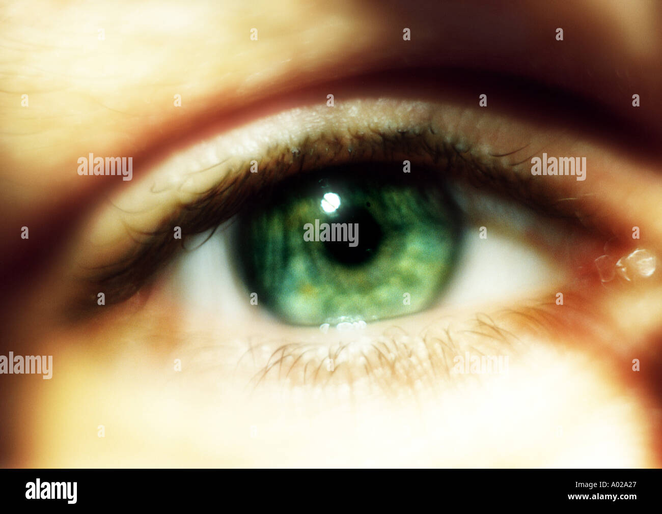 Eye Banque D'Images
