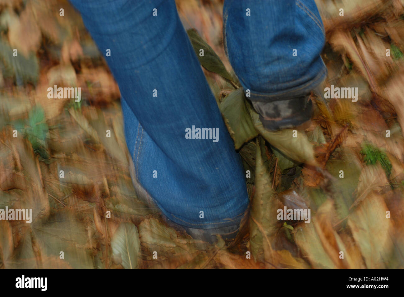 Femme marche à travers les feuilles d'automne Banque D'Images