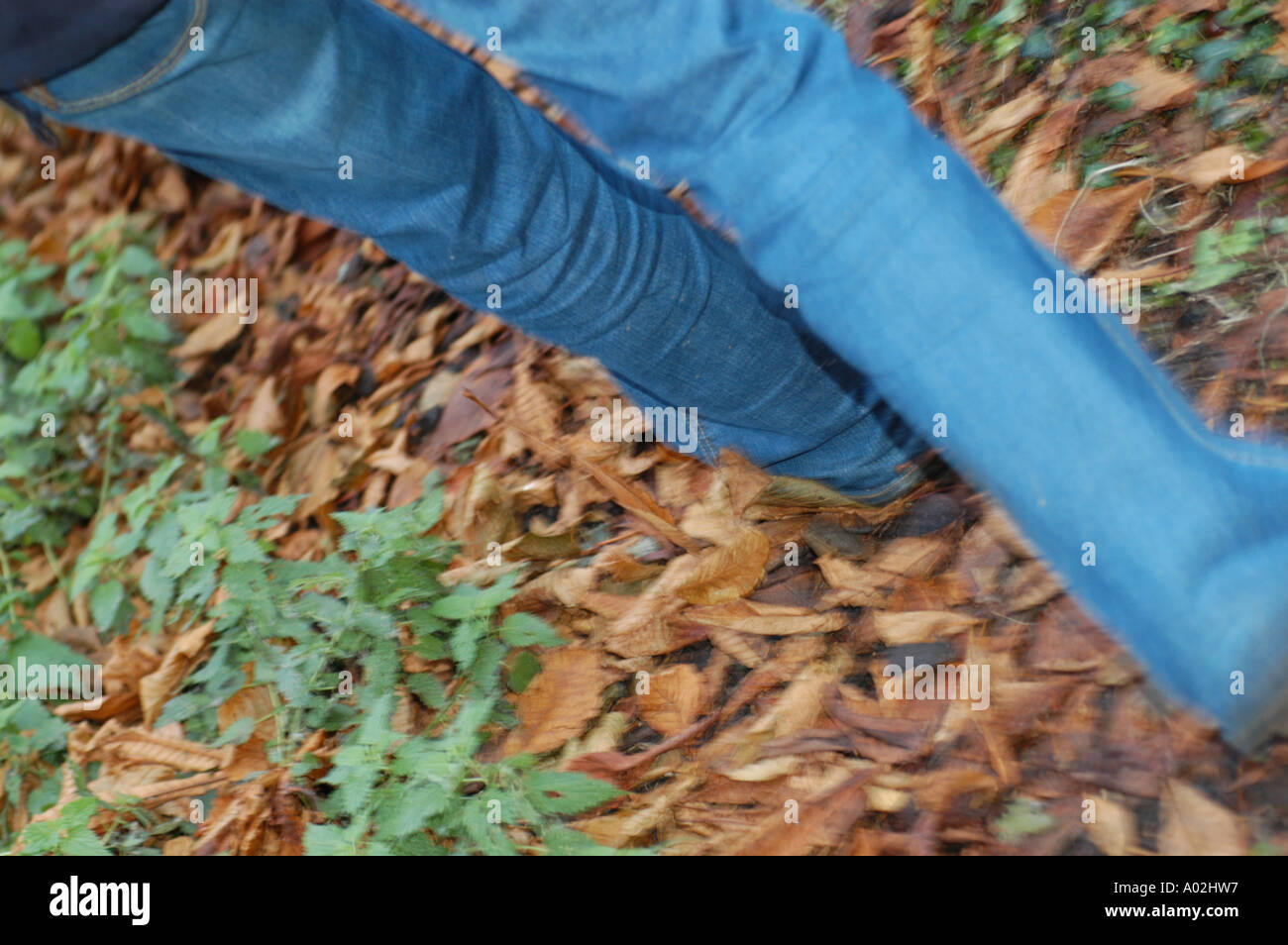 Femme marche à travers les feuilles d'automne Banque D'Images