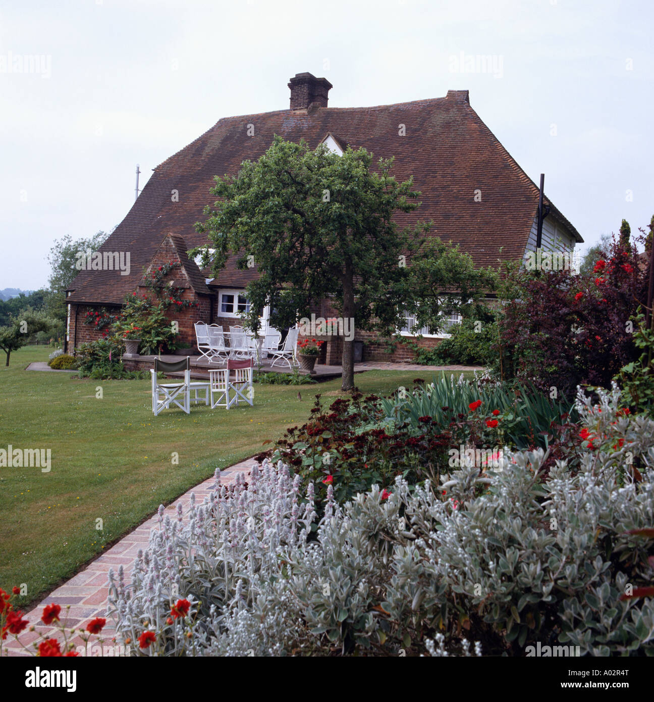 Stachys Lanata en fleur frontière dans jardin de maison de campagne avec petit arbre à côté de la pelouse avec table et chaises Banque D'Images