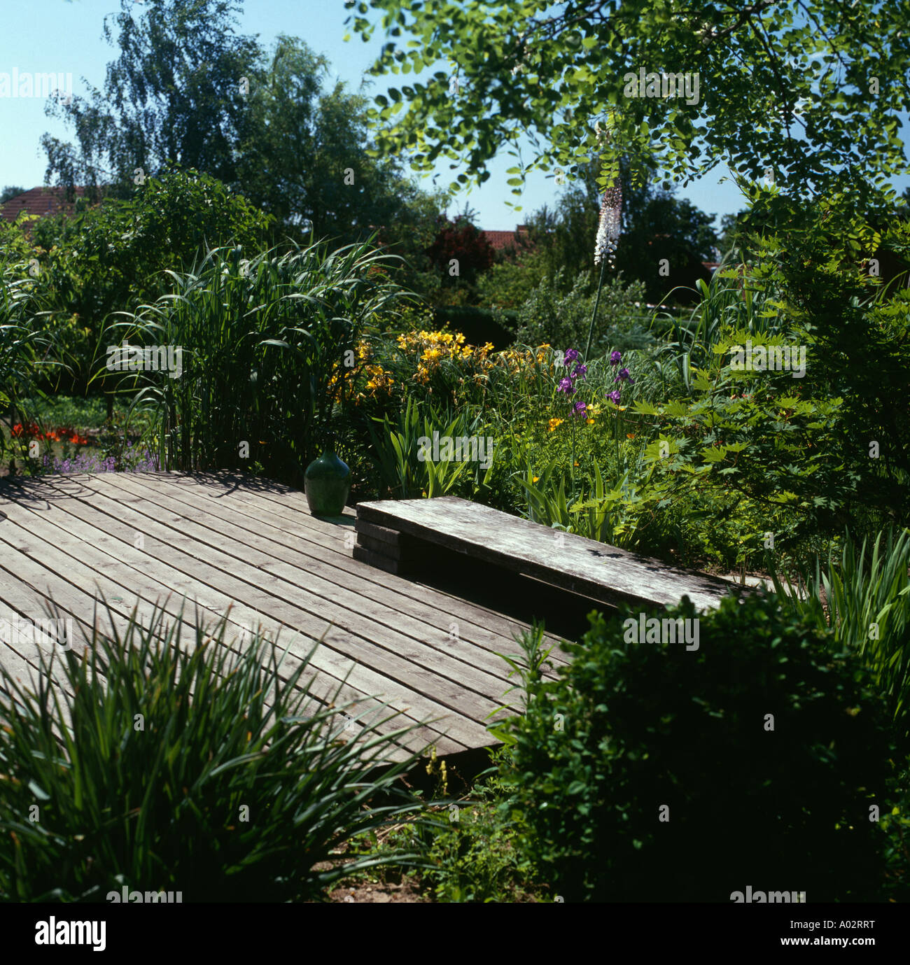 Banc en bois sur bois sous petit arbre planté de végétation luxuriante et frontières Banque D'Images