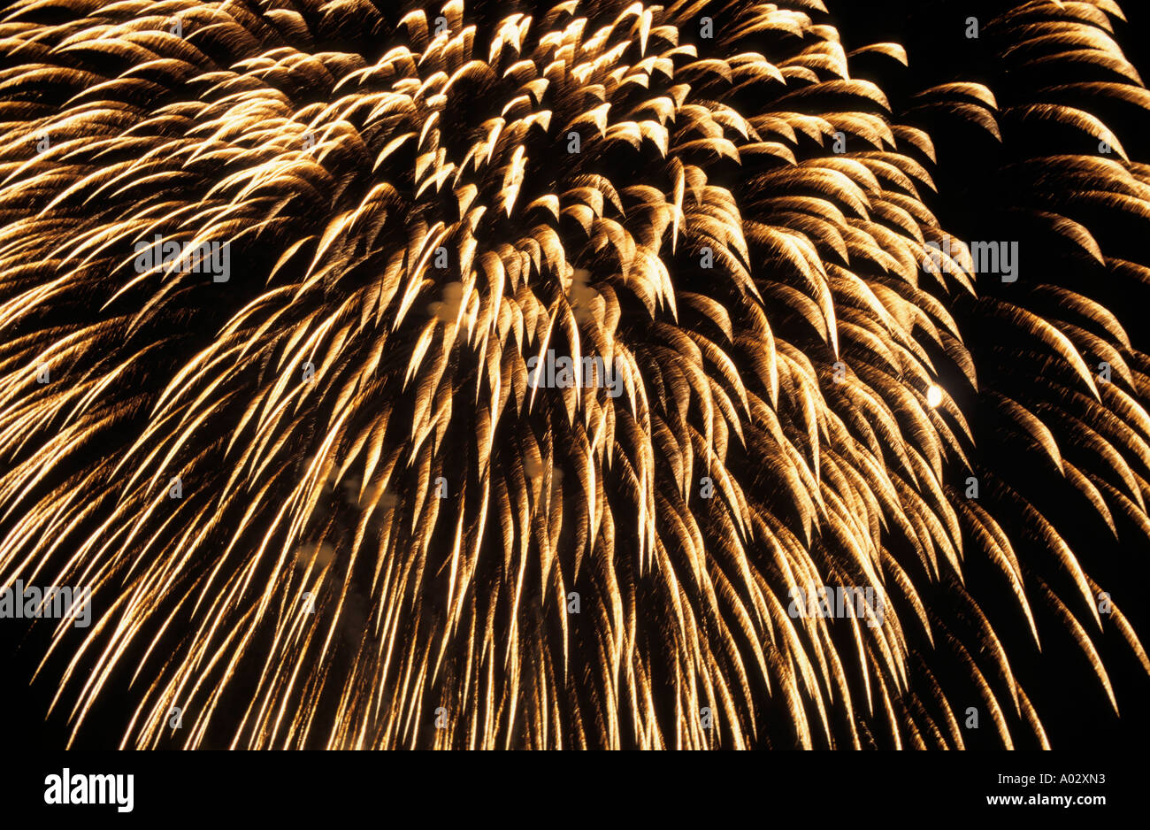 Feux d'artifice illuminent le ciel tout en célébrant le jour de la Bastille, Marseille, France. Banque D'Images