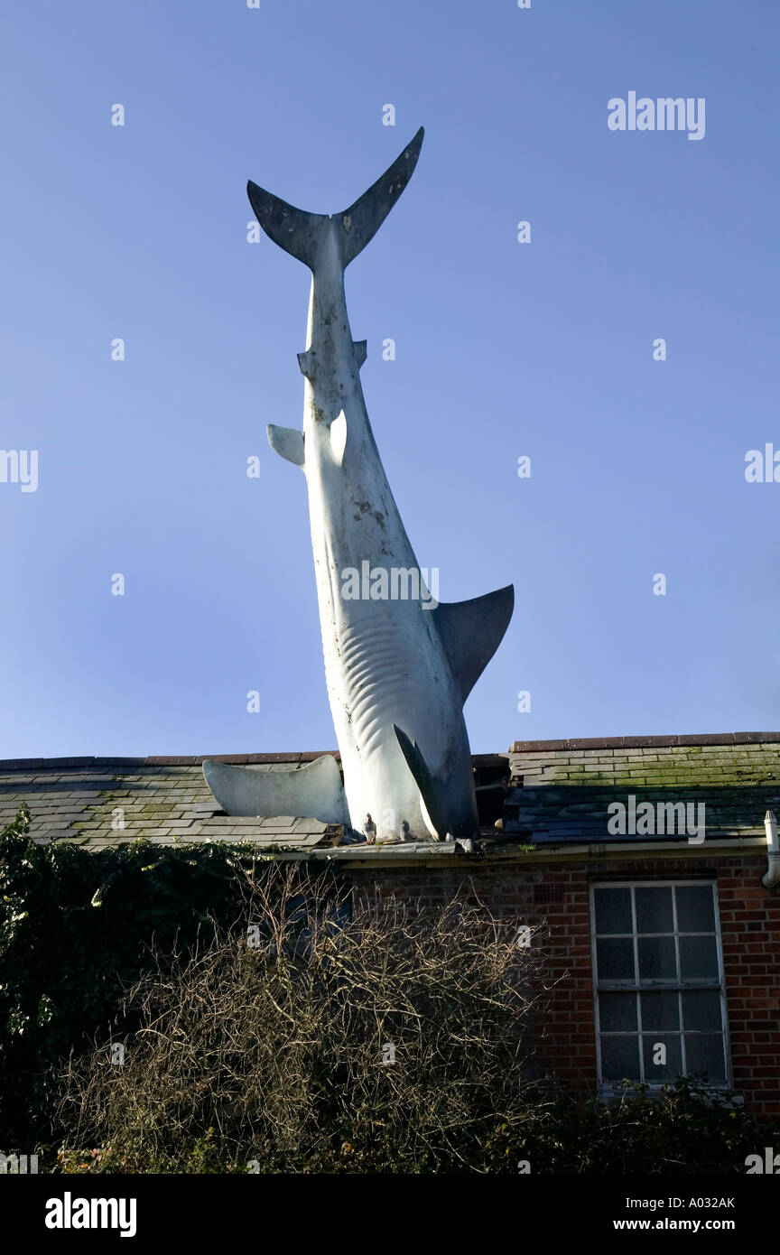 Sculpture de requins en toit de maison à Heddington Oxford UK Photo Stock -  Alamy