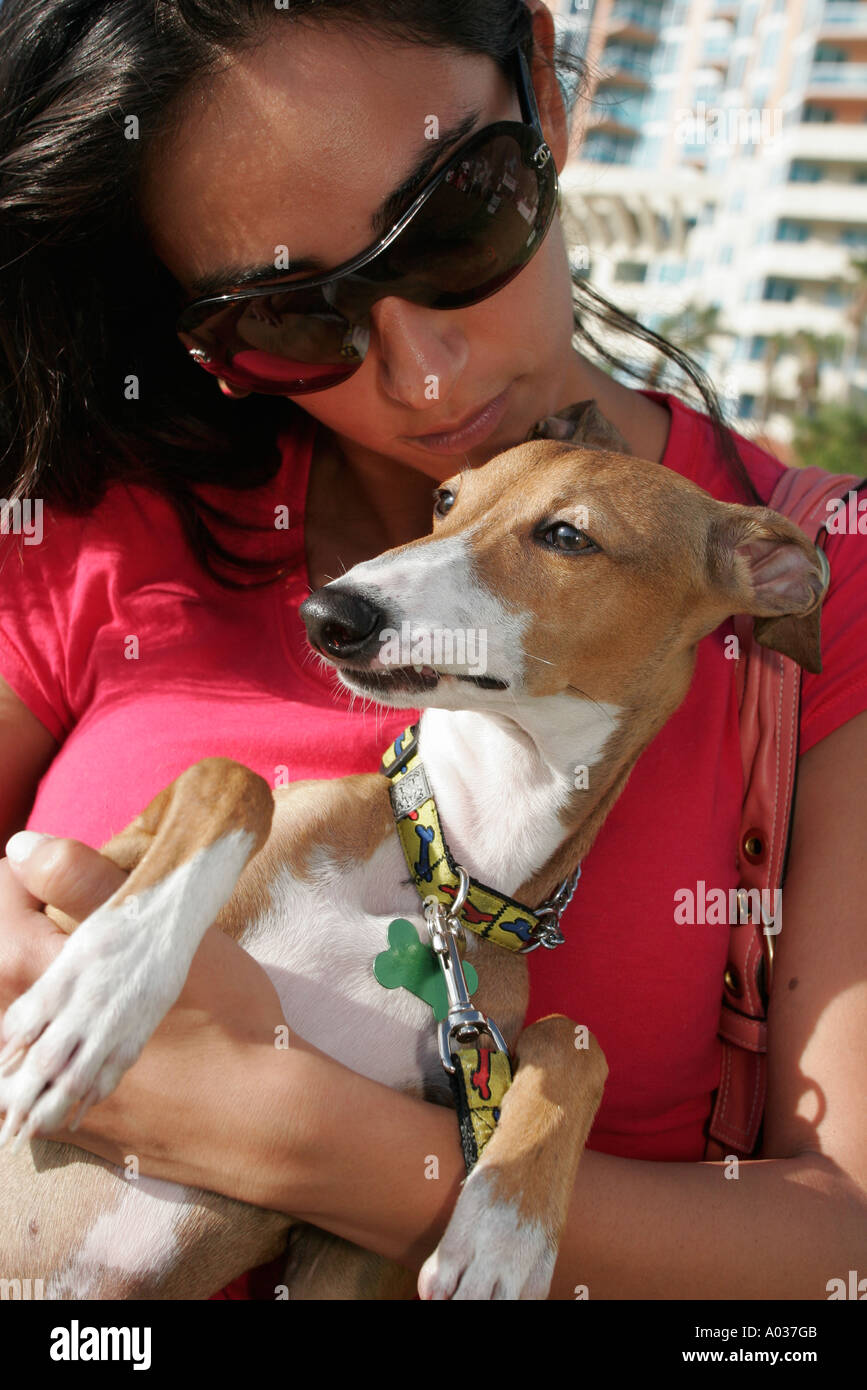 Miami Beach Florida,South Pointe Park,point,PET Rescue,propriétaire de chien femme hispanique femmes,greyhound,FL051212221 Banque D'Images