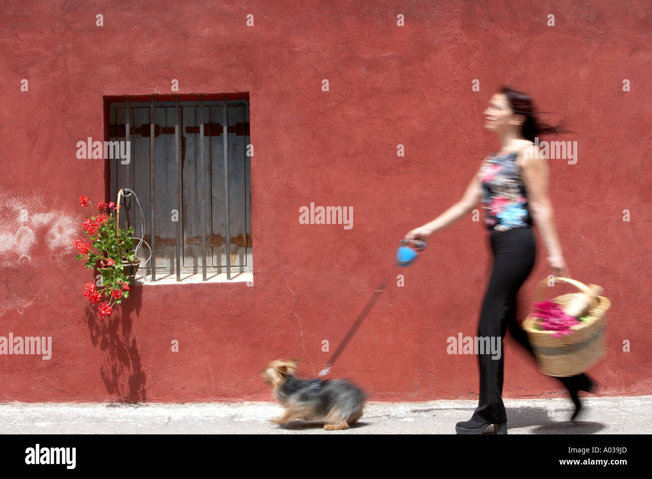 Promener son chien fille française Banque D'Images