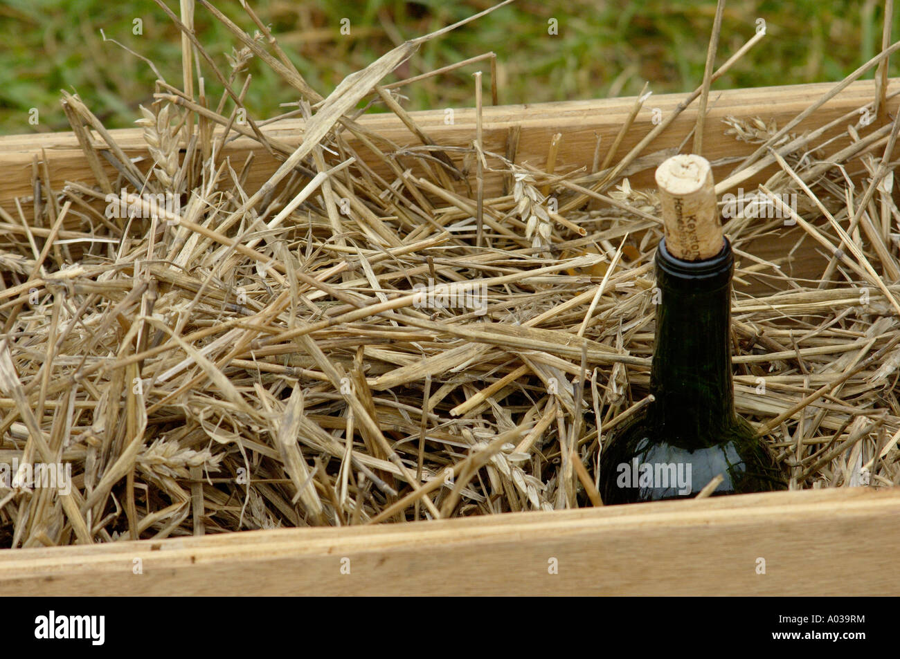 Vin dans le camp de l'armée française à une reconstitution de la bataille de Yorktown en Virginie. Photographie numérique Banque D'Images