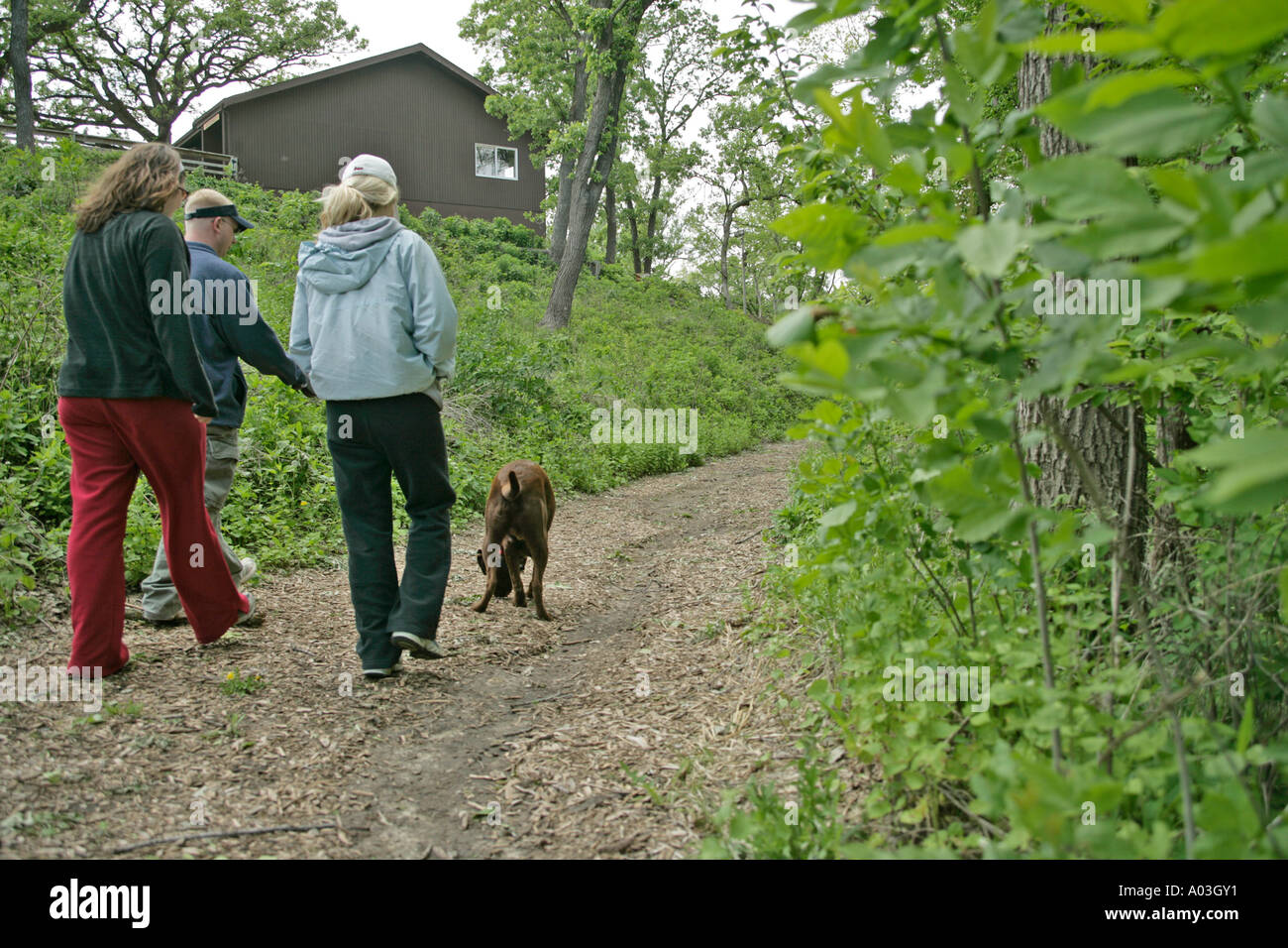 3 personnes, faites une promenade sur un sentier forestier Banque D'Images