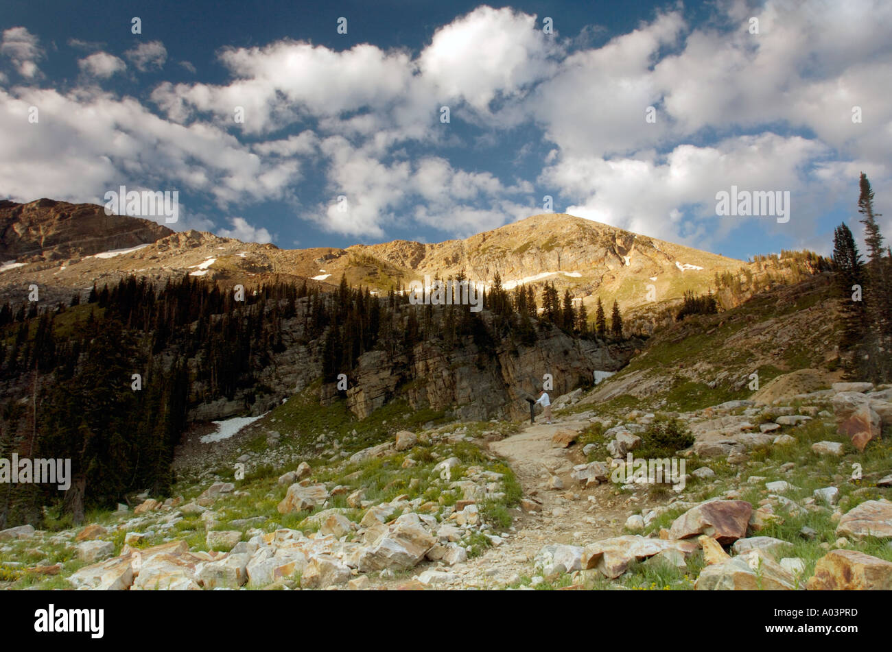 Sentier de randonnée sur les gens, Albion, bassin de montagnes Wasatch, Alta, Utah USA Banque D'Images