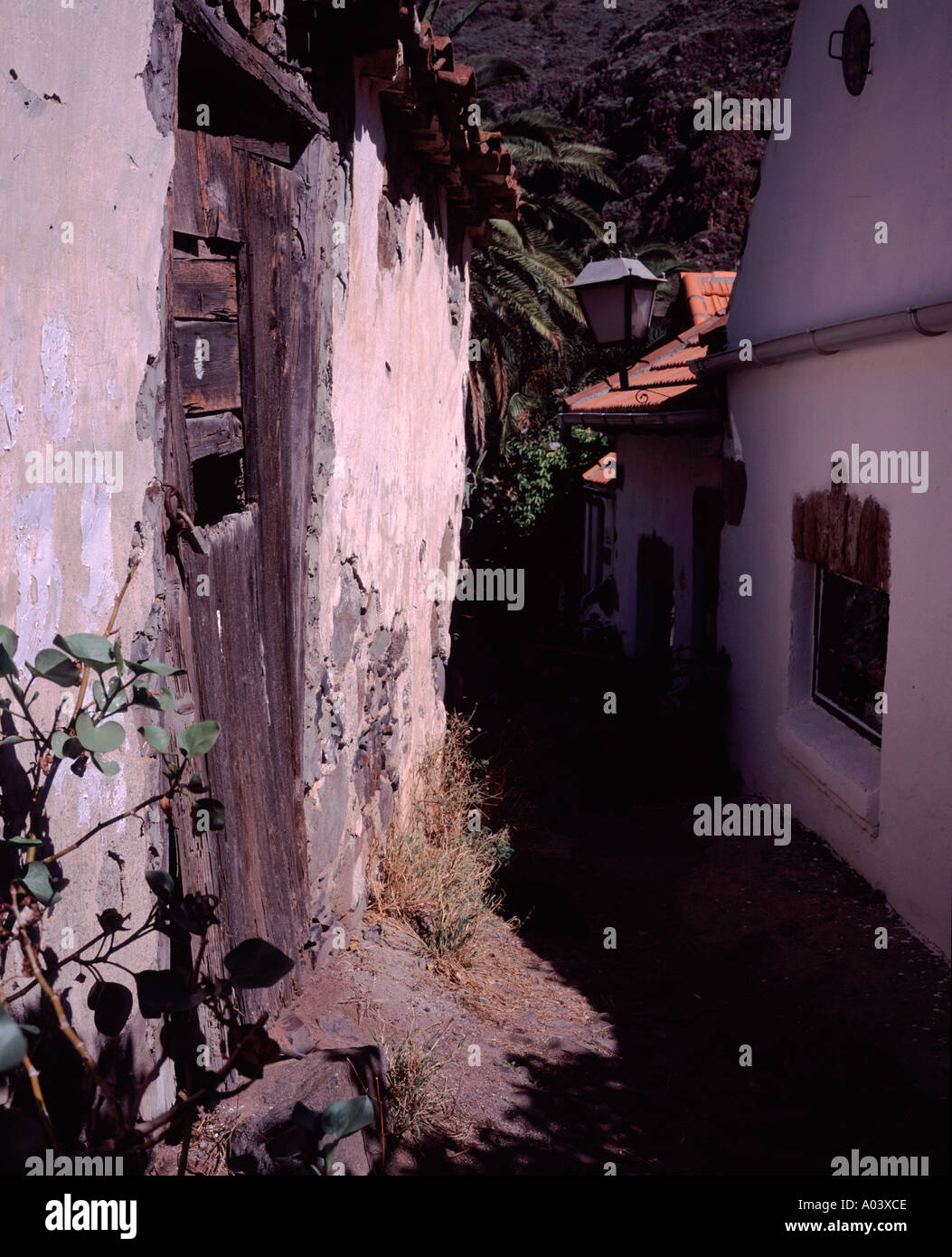 Maisons dans la Calera Valle Gran Rey La Gomera Canaries, Espagne Banque D'Images