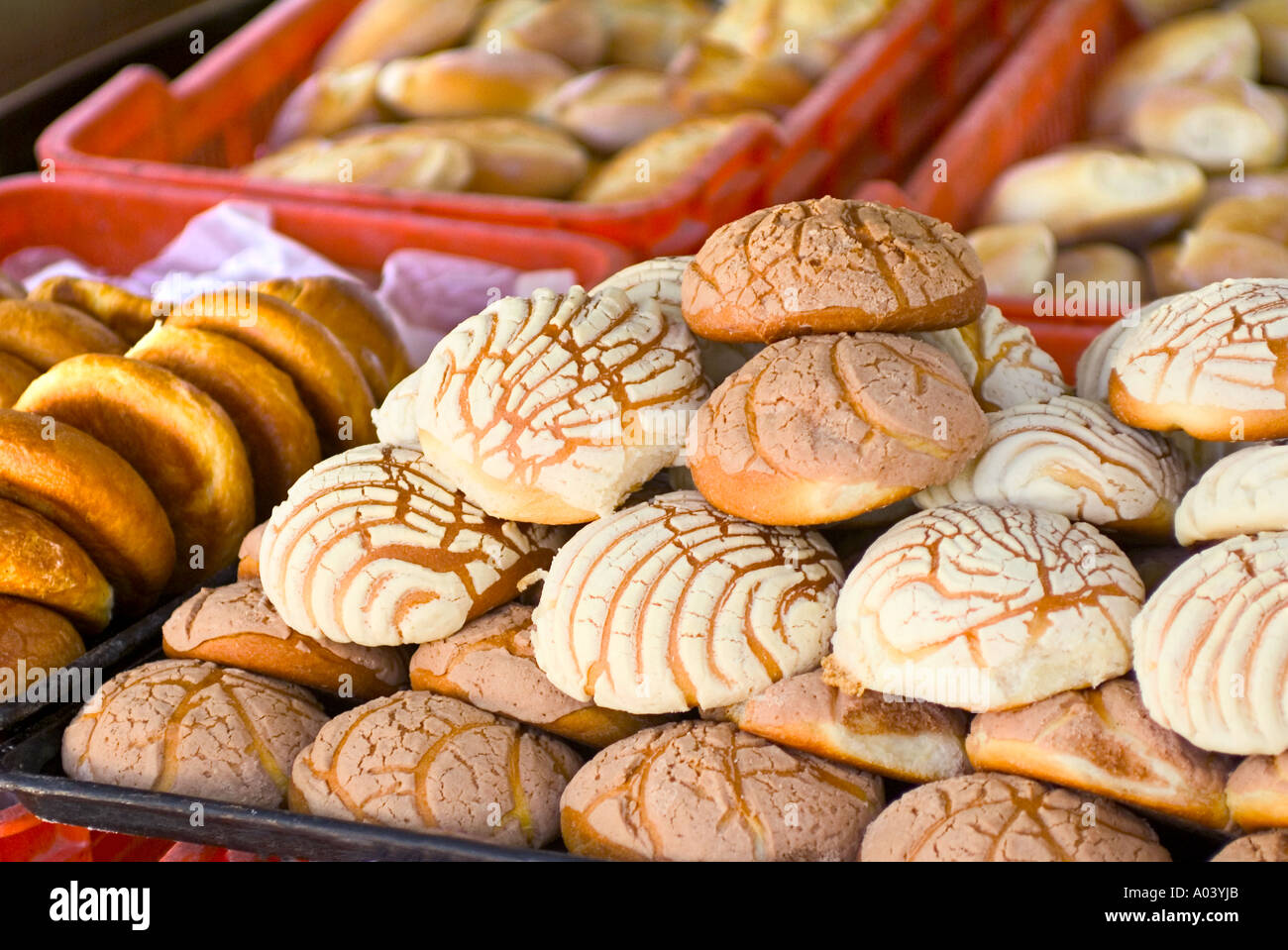 Cookies frais dans une boulangerie mexicaine à San Miguel de Allende Mexique Banque D'Images