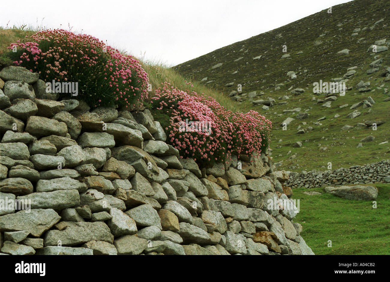 St Kilda Hébrides extérieures en Écosse Banque D'Images