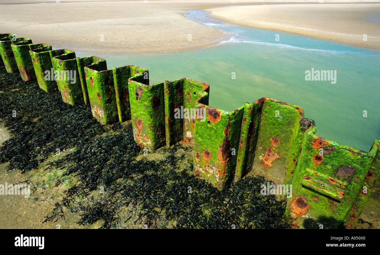 Camber Sands East Sussex Banque D'Images