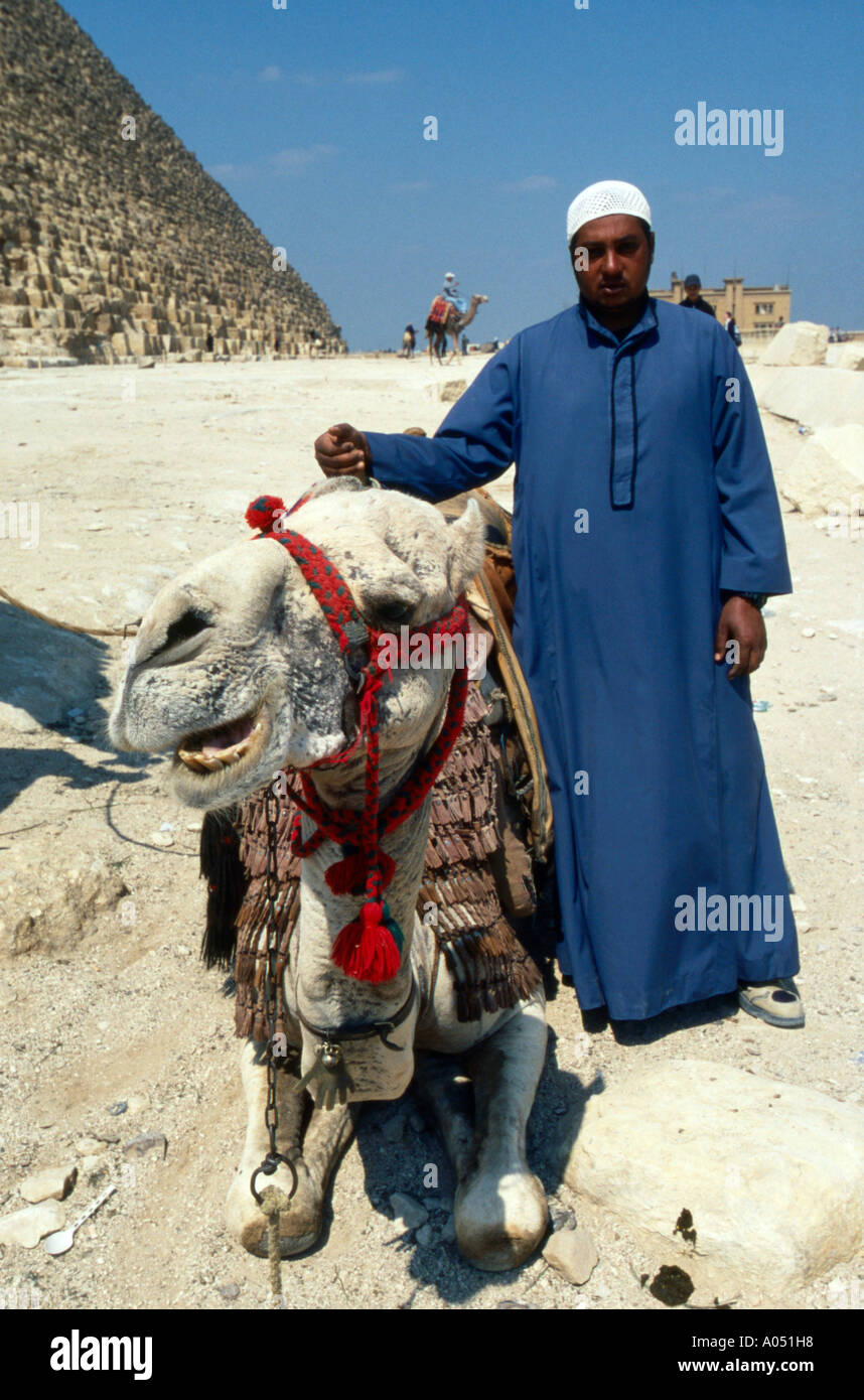 Camel avec Handler en face des pyramides de Gizeh, près du Caire en Égypte, Banque D'Images