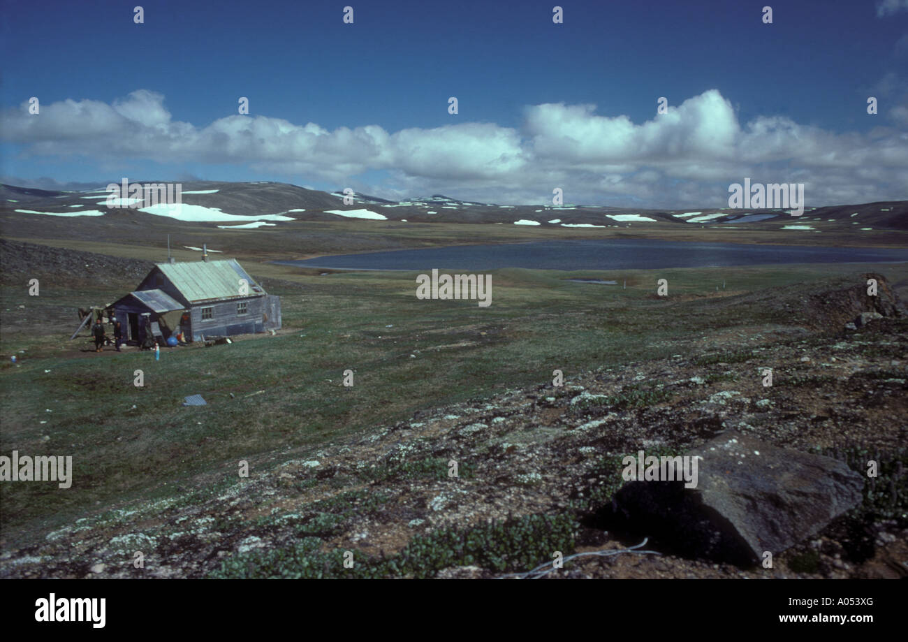 Cabane de chasse dans la toundra arctique, dans la baie de Boxer Nussik BeringSea Alaska île Saint Lawrence Banque D'Images