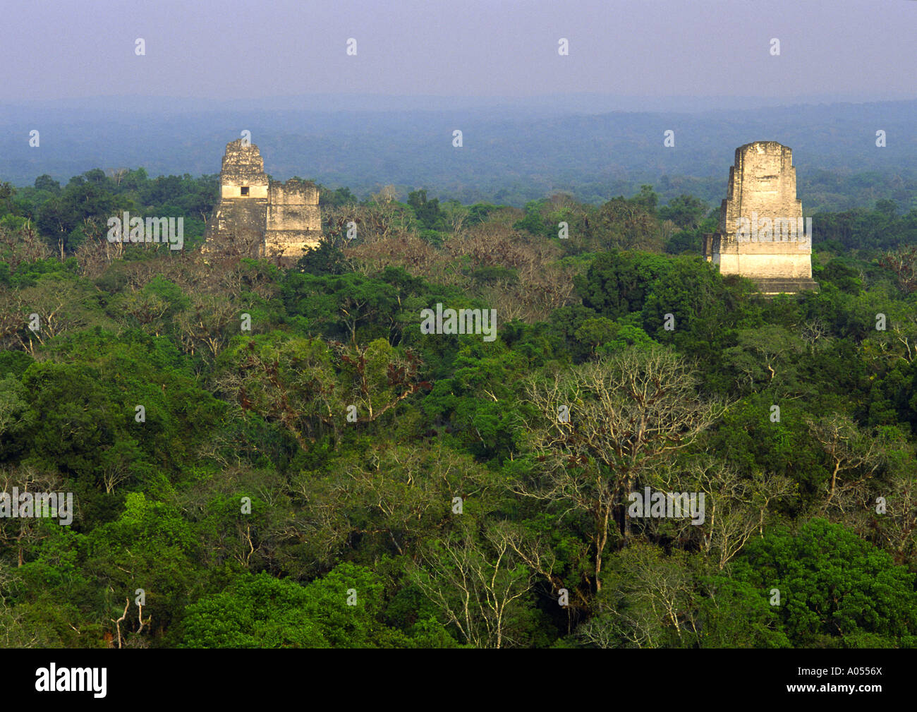 Temples I, II, et III, Tikal, El Petén, Guatemala Banque D'Images