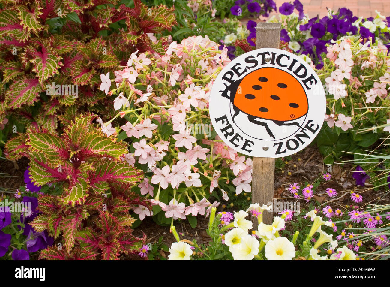 Zone sans pesticides sign in flower bed USA Banque D'Images
