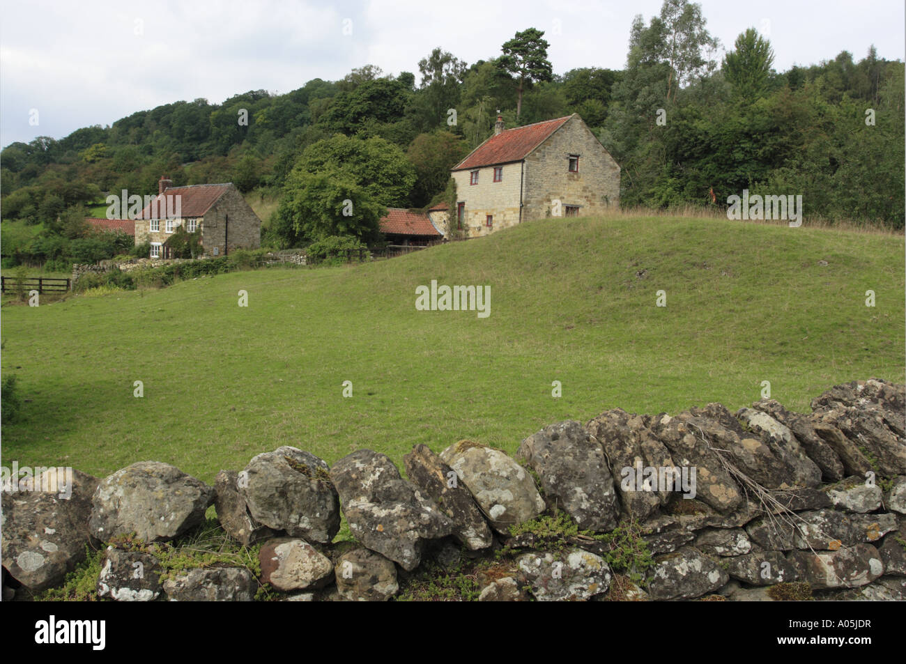 Rievaulx Cottages Banque D'Images