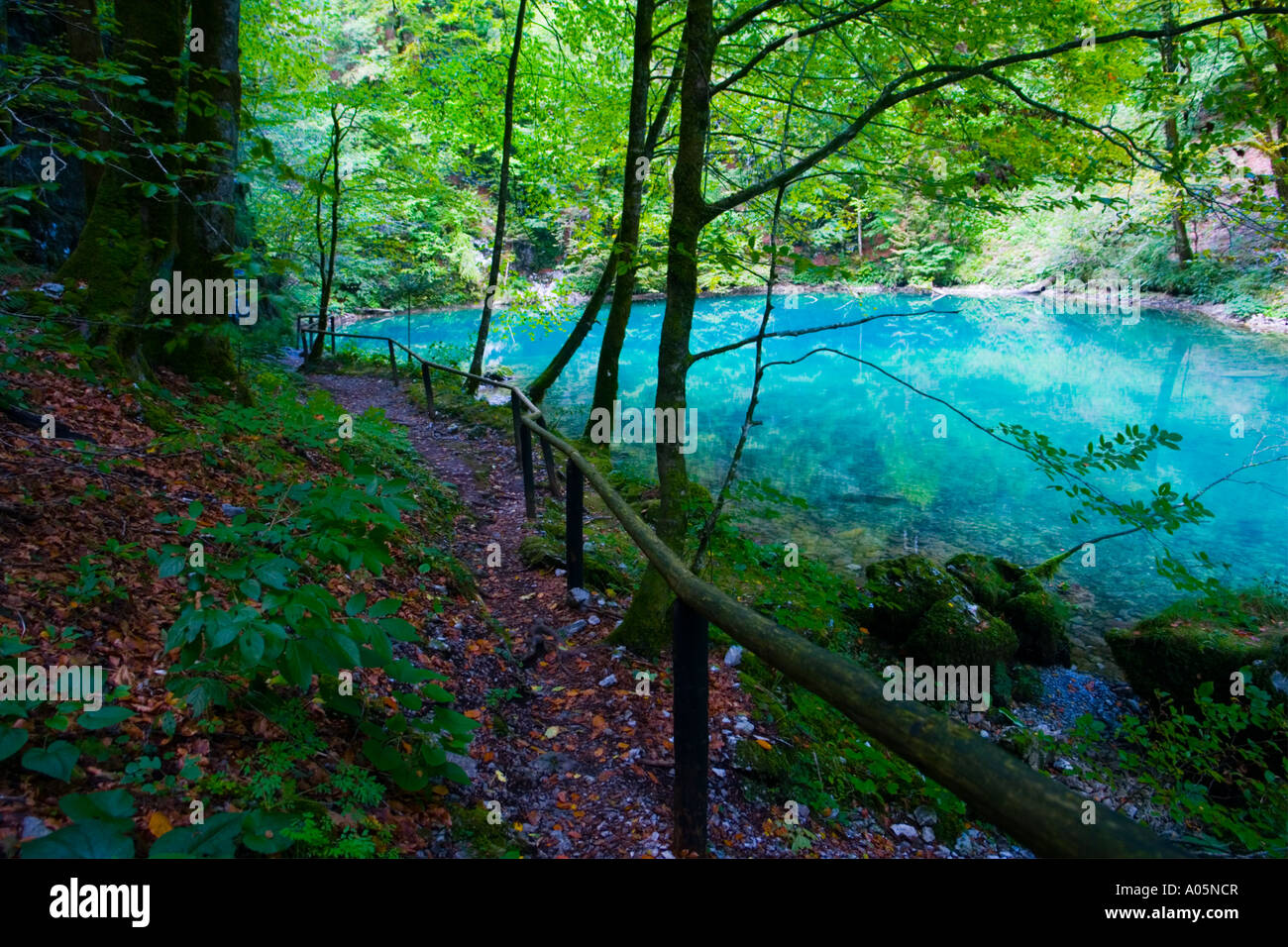 Automne en forêt, la source de la Kupa à Gorski Kotar en Croatie, Europe Banque D'Images