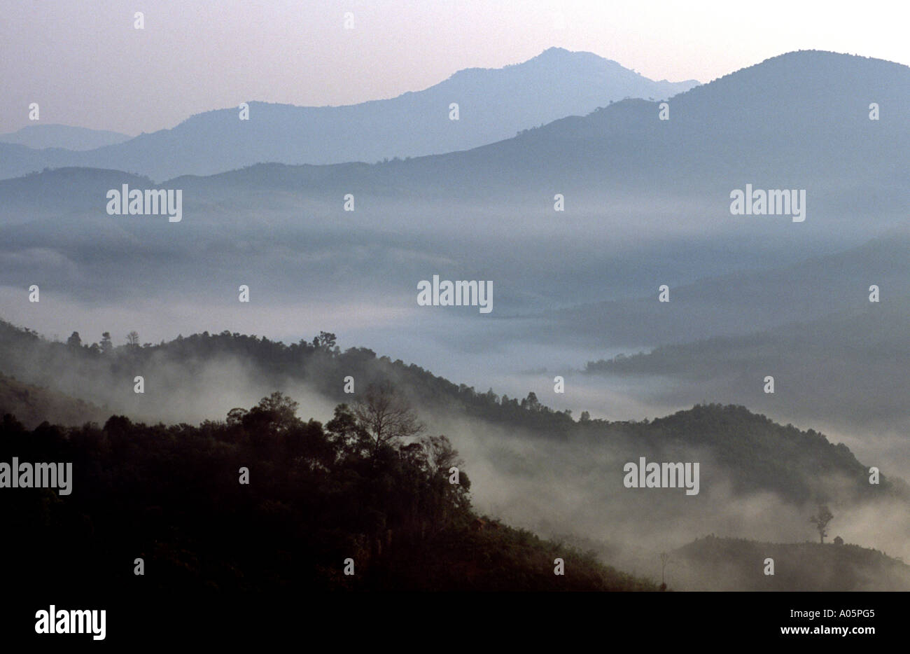 Misty Hills au crépuscule. Le district de Muang Sing, Luang Nam Tha, le Laos. Banque D'Images